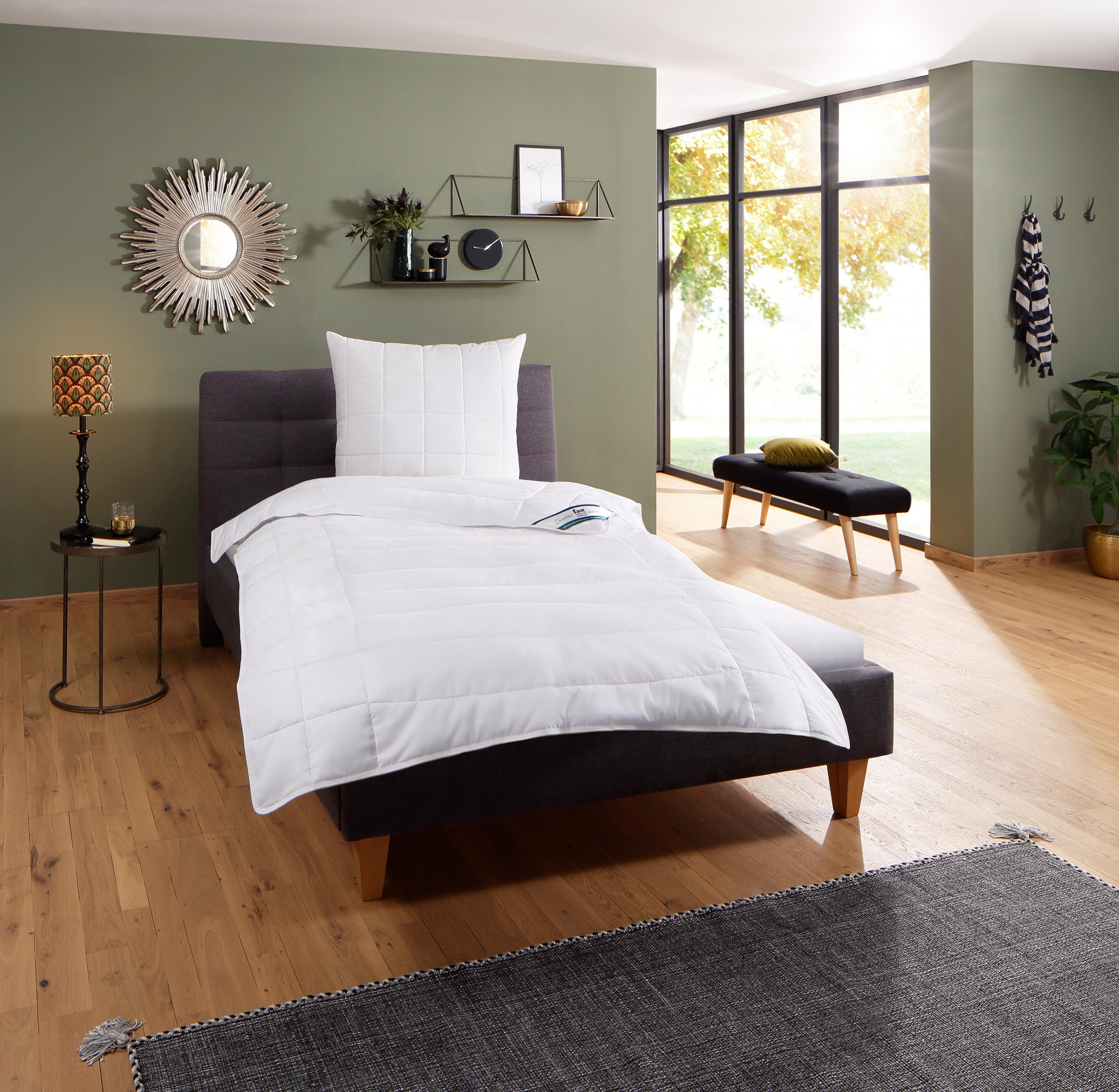 fan Microfaserbettdecke Komfort Plus, Bettdecke in 135x200 cm und weitere Größen erhältlich, Füllung: 100% Lyocell, Bezug: 100% Polyester, Made in Germany! Zu jeder Jahreszeit ideal für Schwitzer