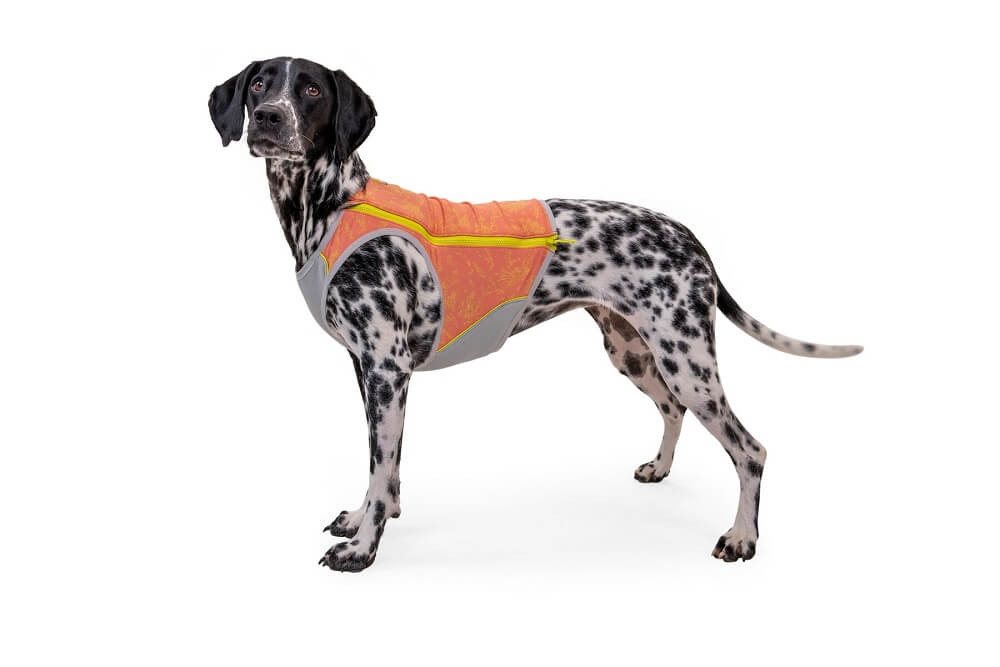 Thumbnail - Ruffwear Hundemantel Swamp Cooler Zip Vest