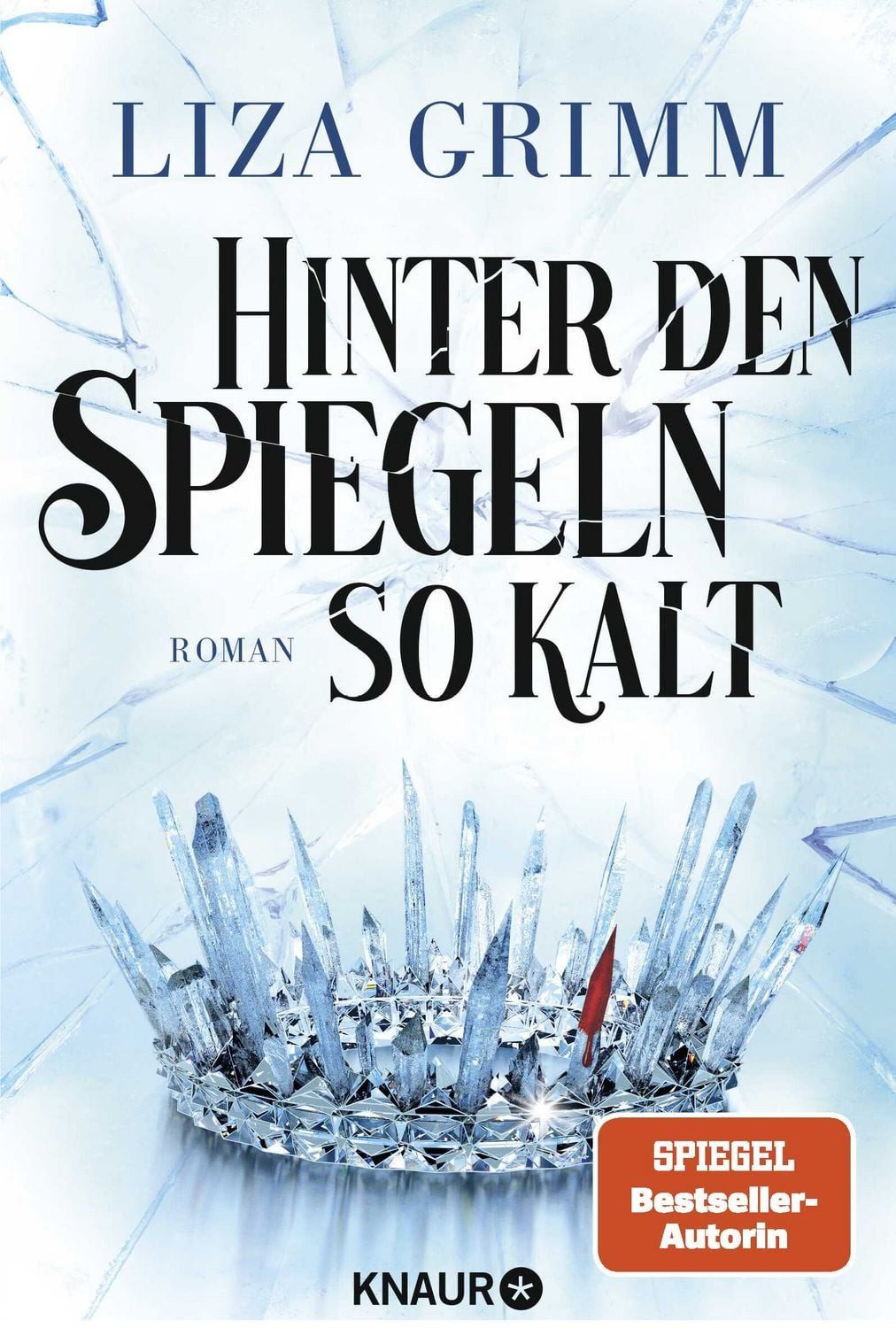 Hinter den Spiegeln so kalt / Liza Grimm, Roman