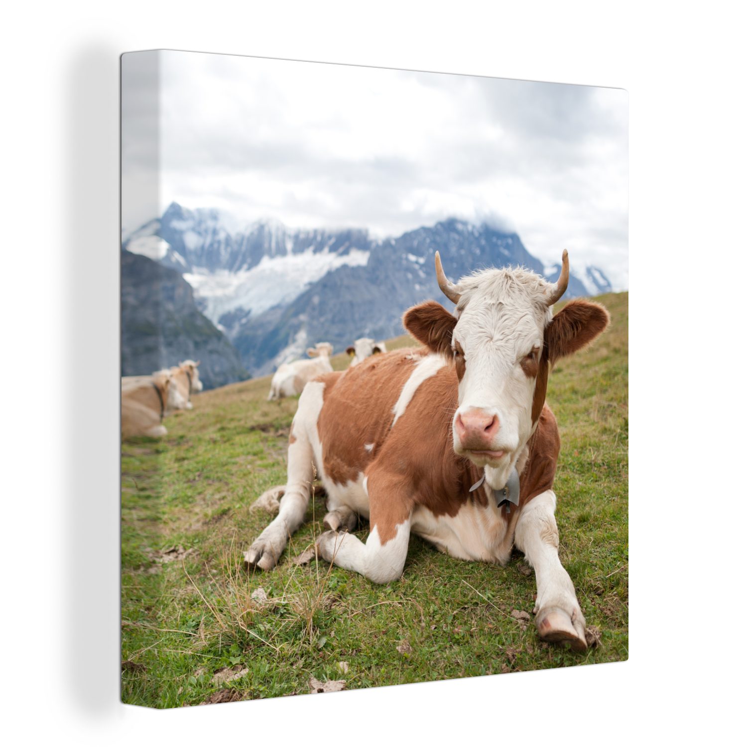 OneMillionCanvasses® Leinwandbild Kühe - Wiese - Alpen, (1 St), Leinwand Bilder für Wohnzimmer Schlafzimmer
