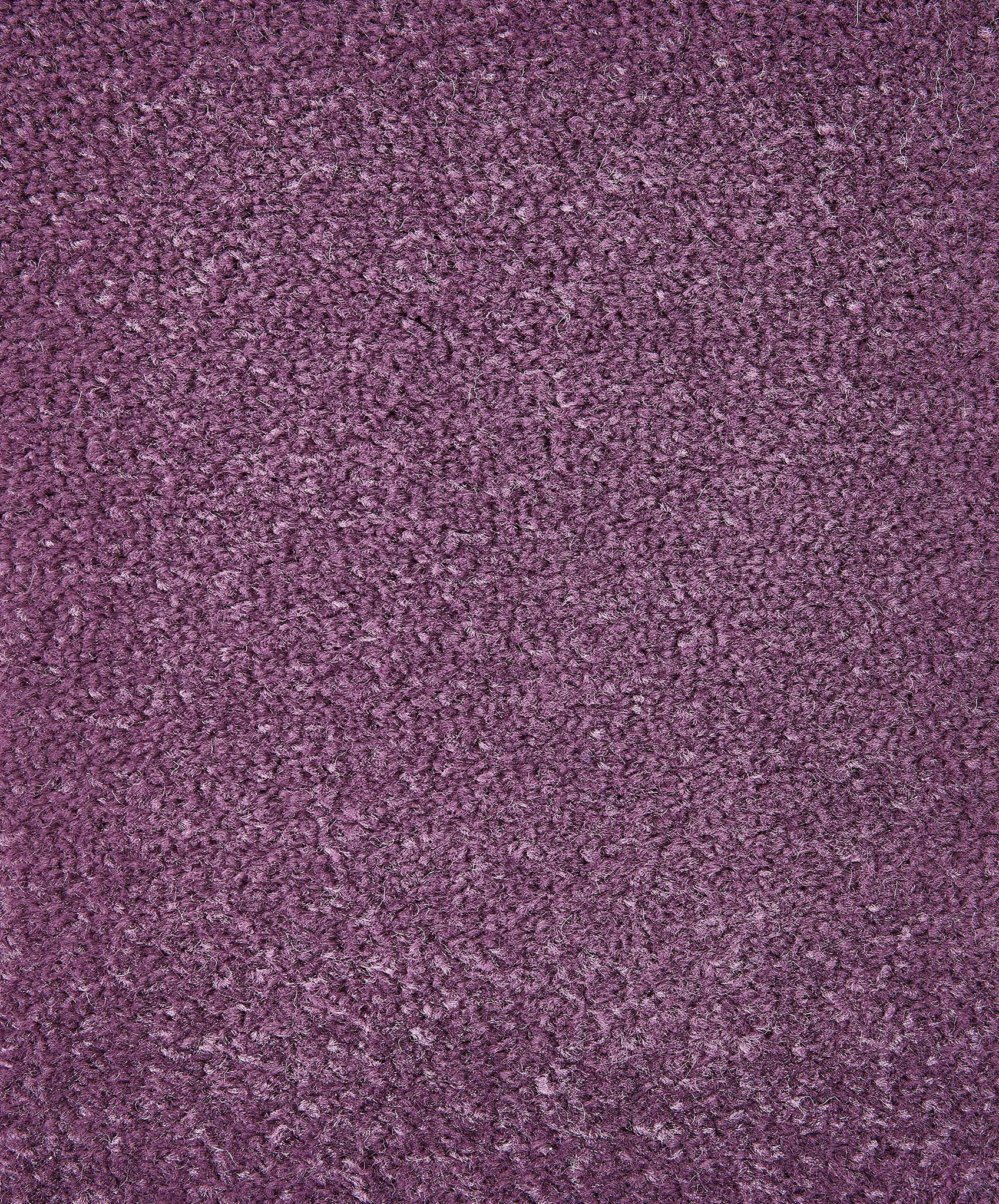 Velours Höhe: 400 mm, 8.5 Breit, Bodenbelag lila Andiamo, Teppichboden Fußbodenheizung Teppichboden, cm geeignet,