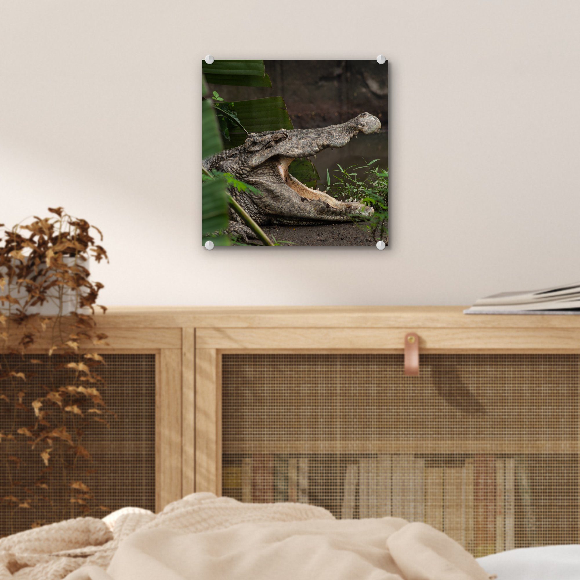 (1 - Glas Glas Krokodil auf - auf Glasbilder Foto offenem Bilder Maul, - mit Acrylglasbild Wandbild St), MuchoWow Wanddekoration