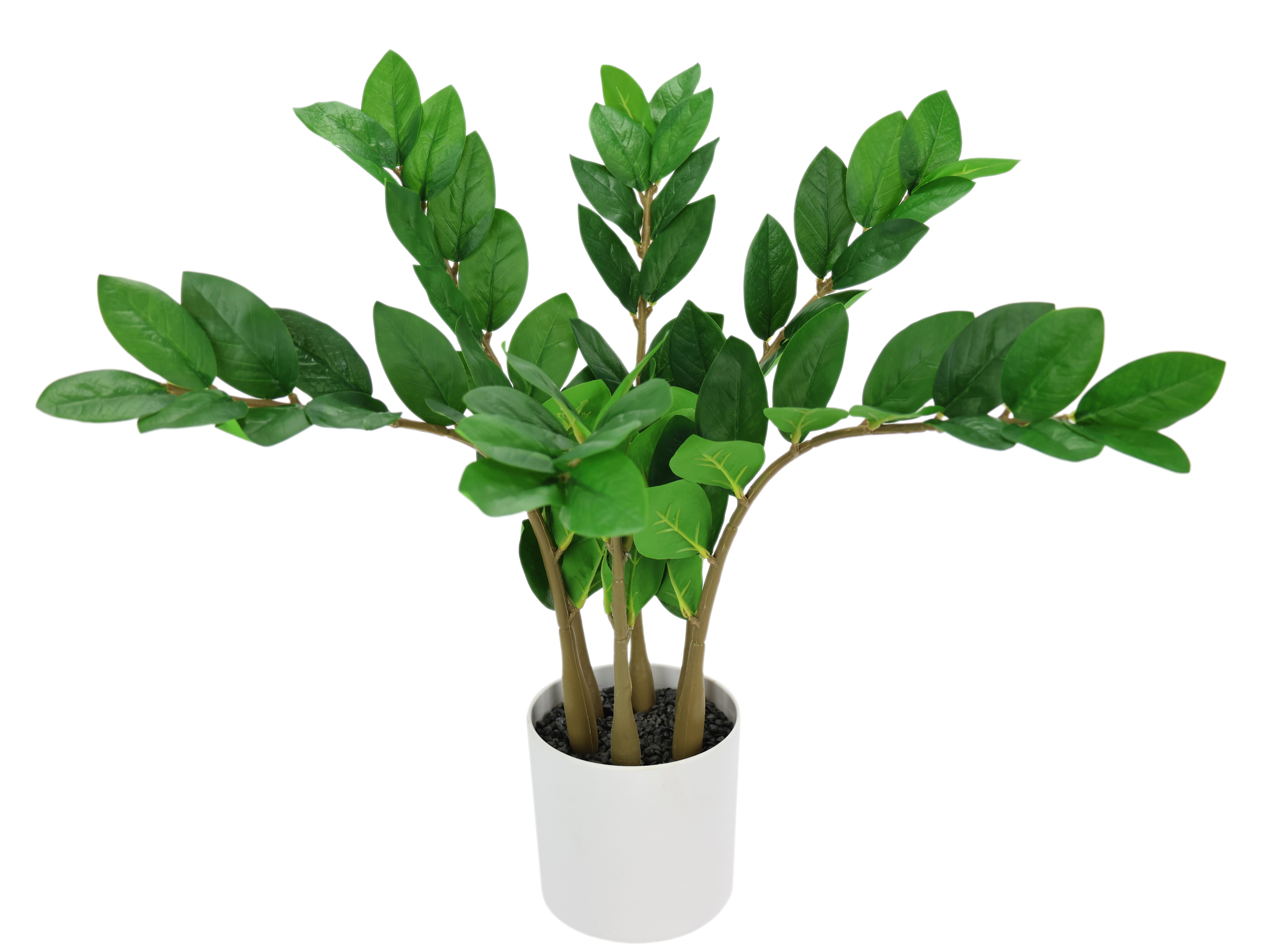 Kunstblume Kunstpflanze Zamioculcas im Topf Tropenwurz, I.GE.A., Höhe 56 cm, Künstliche Pflanze Tropenwurz Glücksfeder Grünpflanze Dekopflanze