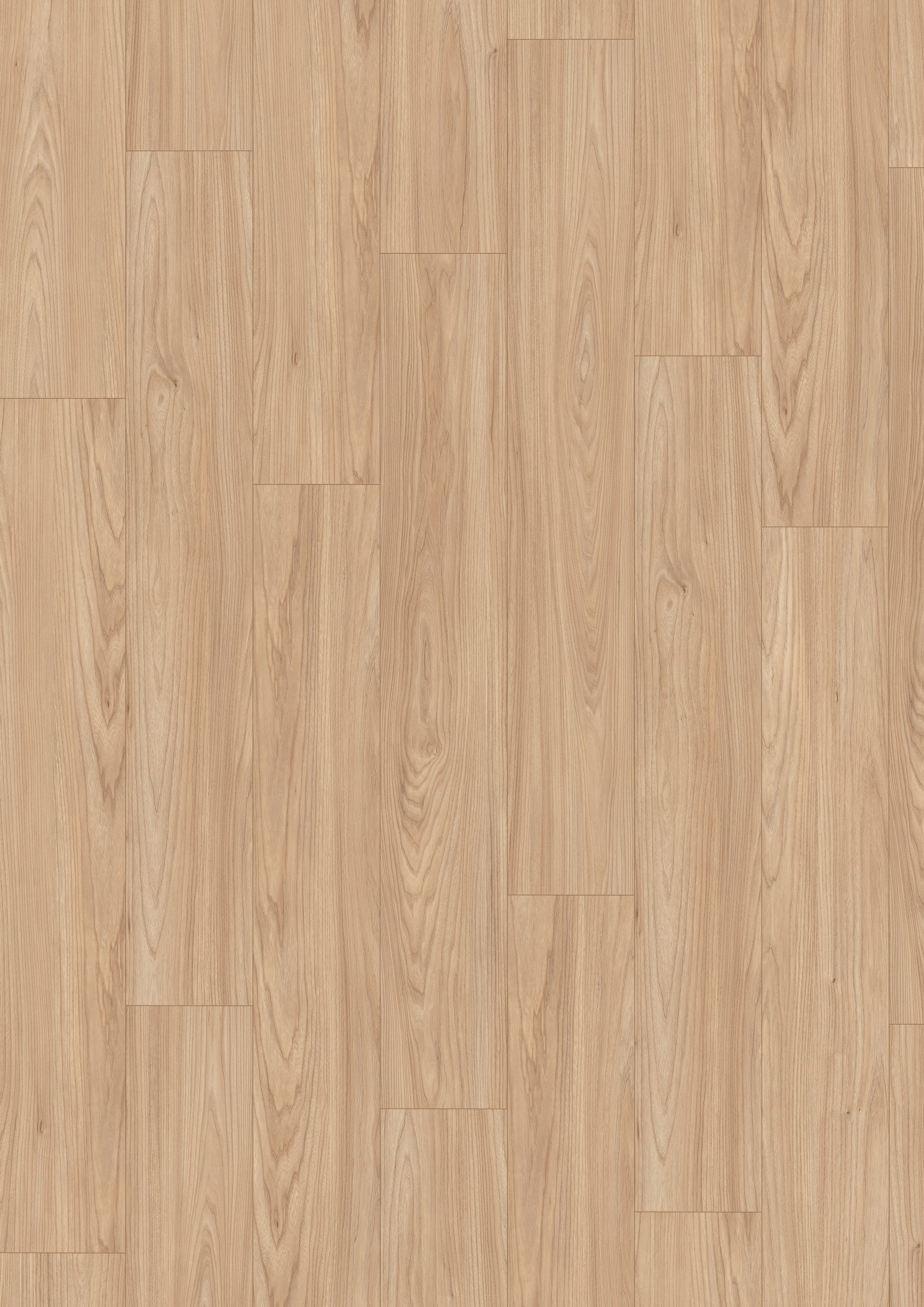 EGGER Laminat Promo NL1242 Sheffield Akazie natur, (8mm, 1,995qm), Praktisch & Pflegeleicht