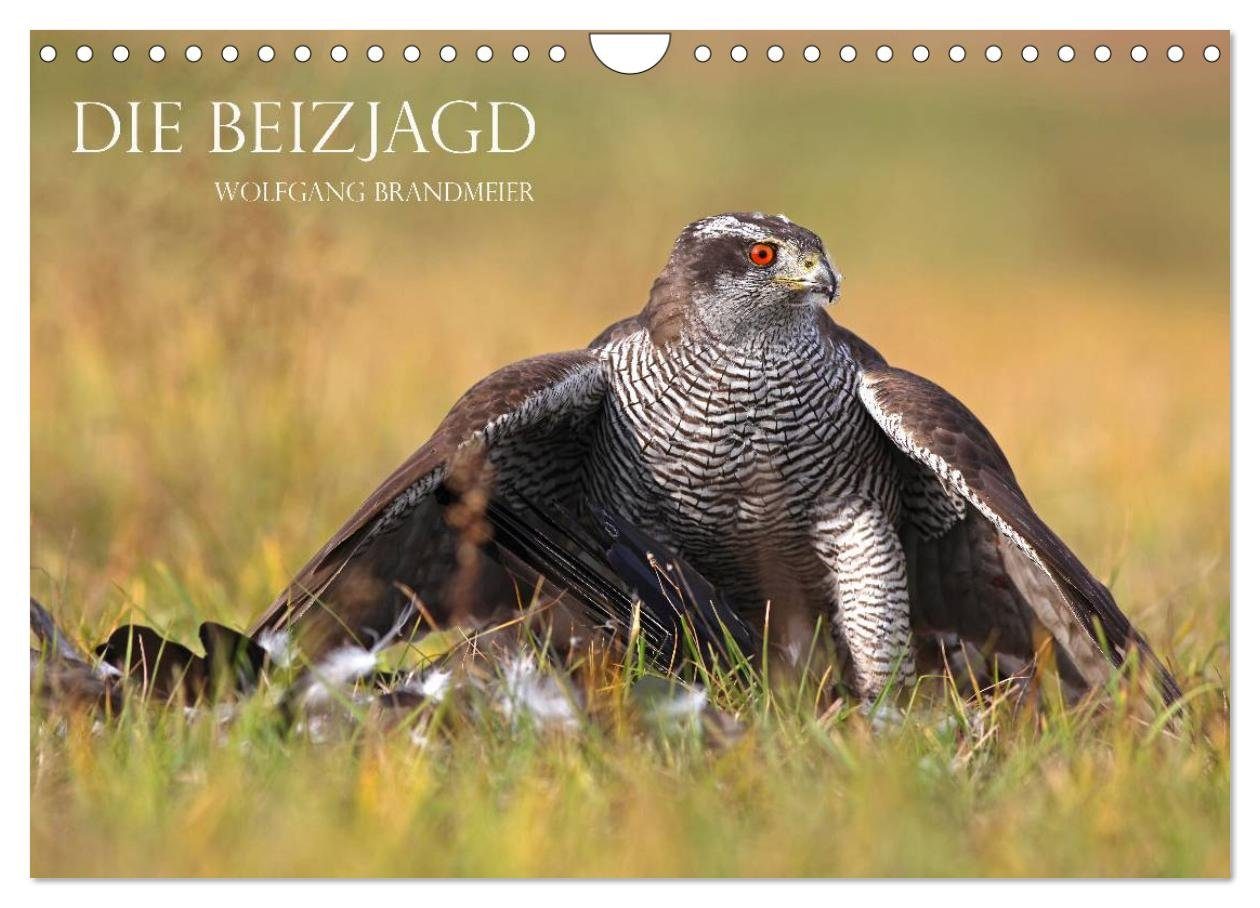 CALVENDO Wandkalender Die Beizjagd (Wandkalender 2026 DIN A4 quer), CALVENDO Monatskalender