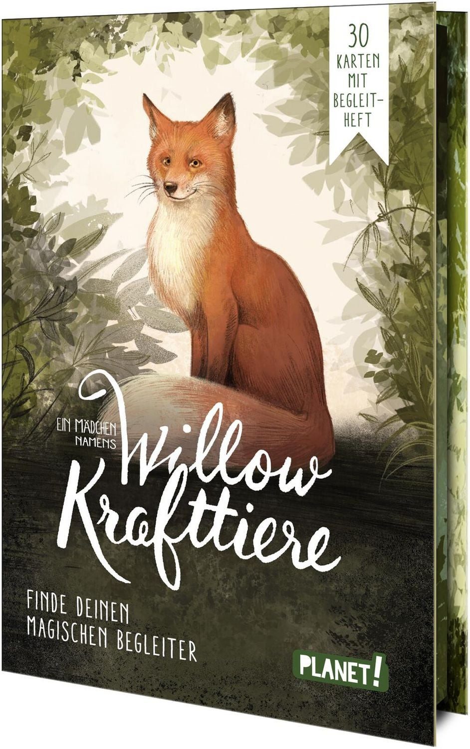 Kinderbuch Ein Mädchen namens Willow: Krafttiere Finde deinen magischen Begleiter Sabine Bohlmann