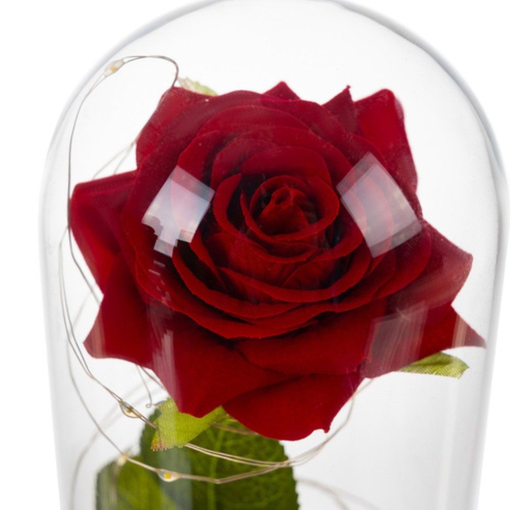Ruhhy Rose LED Rose im Glas Spar-Set, 1 St., Geschenkbox, warmweiße LEDs umgeben die Rose, erzeugen edle Lichtakzente