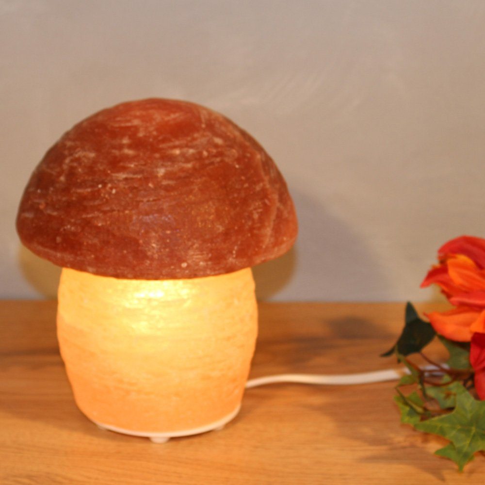 HIMALAYA SALT Warmweiß, Pilz, cm Unikat, ca.16 DREAMS H: Salzkristall jeder Leuchtmittel ein - aus wechselbar, Salzkristall-Tischlampe Stein Handgefertigt