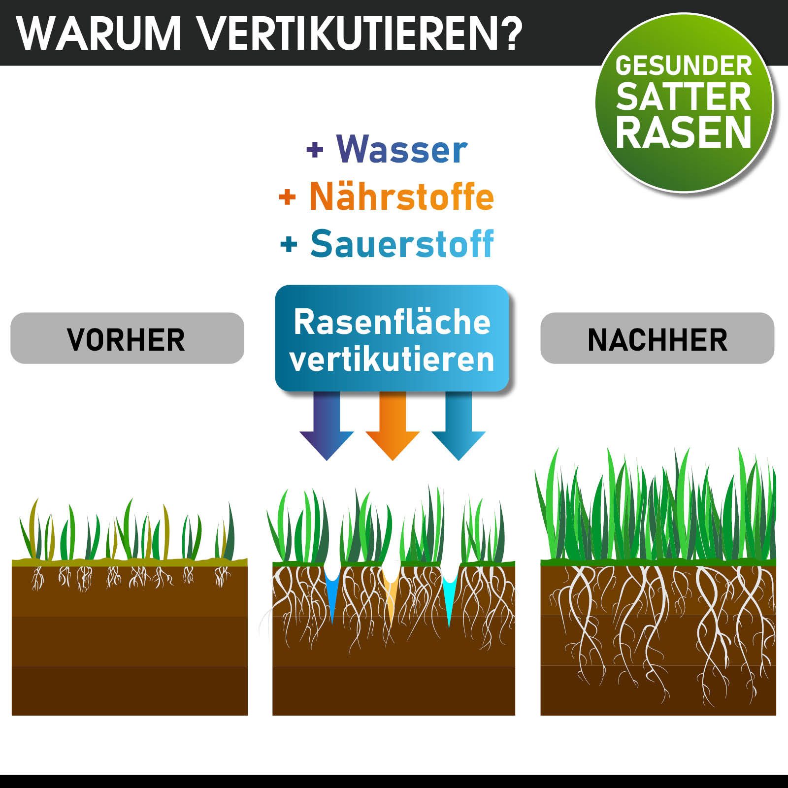 BRAST Benzin-Vertikutierer / Lüfter 4,5kW (6,12PS), 4-Takt Motor 212ccm, 45 cm Arbeitsbreite, TÜV geprüft, 50L Fangkorb