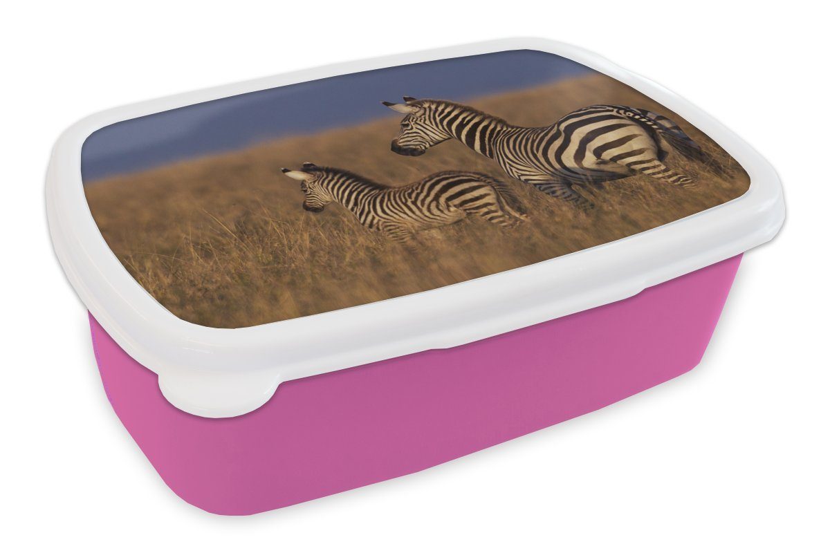 MuchoWow Lunchbox Mutter und Babyzebra, Kunststoff, (2-tlg), Brotbox für Erwachsene, Brotdose Kinder, Snackbox, Mädchen, Kunststoff rosa