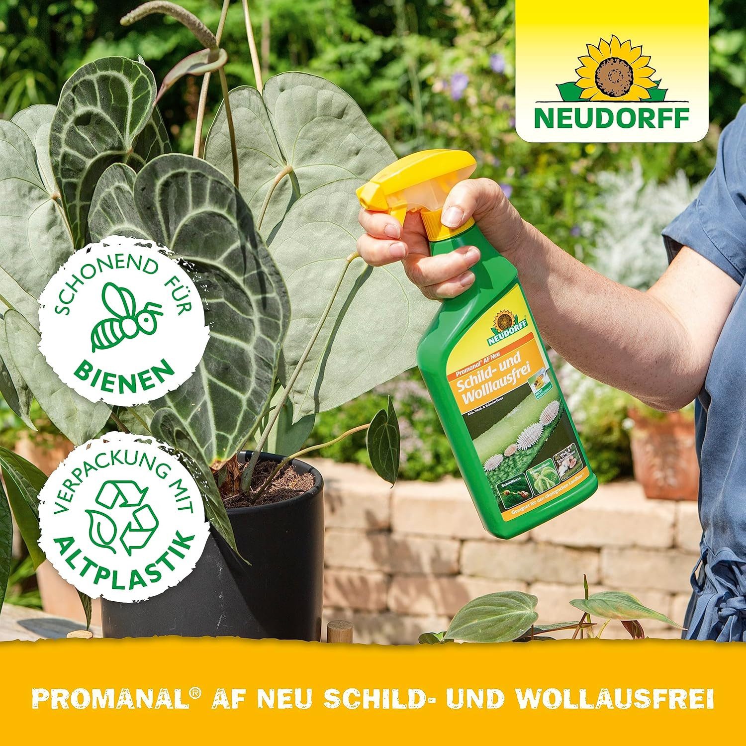 Neudorff Insektenspray Promanal AF Neu Schild- und Wolllausfrei 500 ml, 500 ml, einsetzbar an z.B. Oleander und Olive, geeignet für den Garten- und Zimmerpflanzen