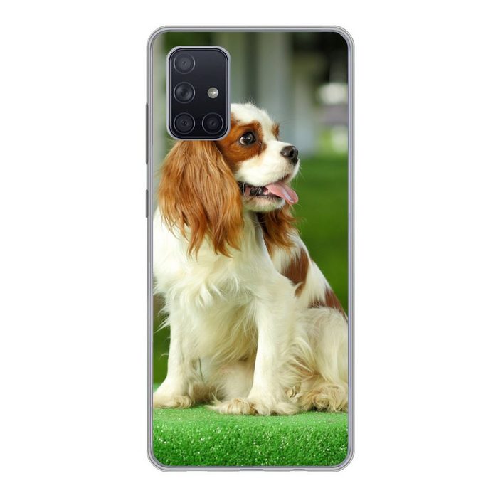 MuchoWow Handyhülle Ein sitzender Cavalier King Charles Spaniel Handyhülle Samsung Galaxy A51 5G Smartphone-Bumper Print Handy