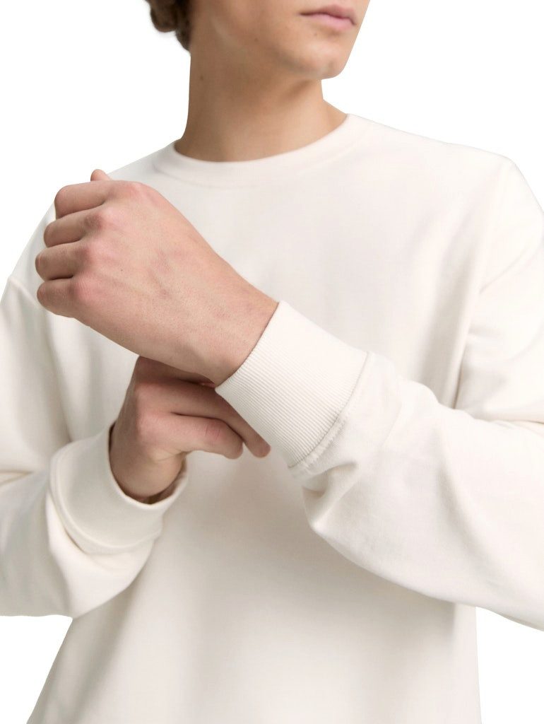 TOM TAILOR Rundhalspullover