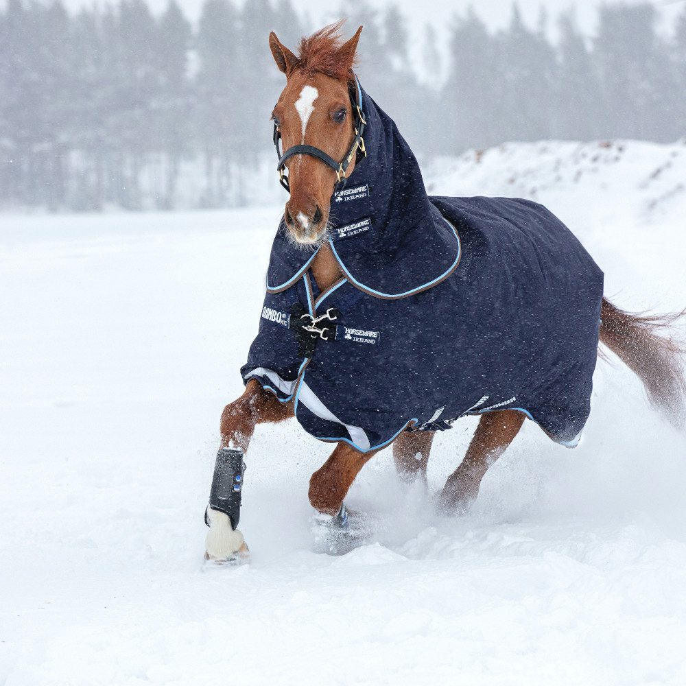 Horseware Pferde-Thermodecke Horseware Rambo Duo Turnout 100g + 300g - Navy/Sky Blue