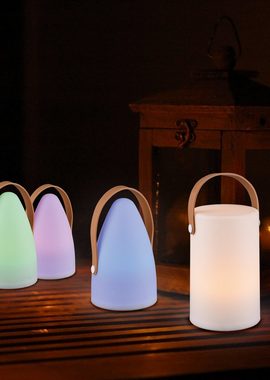 TRIO Leuchten LED Außen-Tischleuchte Aruba, Farbwechsel, LED fest integriert, Warmweiß, für Innen- und Aussenbereich, RGB-Farbwechsel, IP44, Gartenleuchte