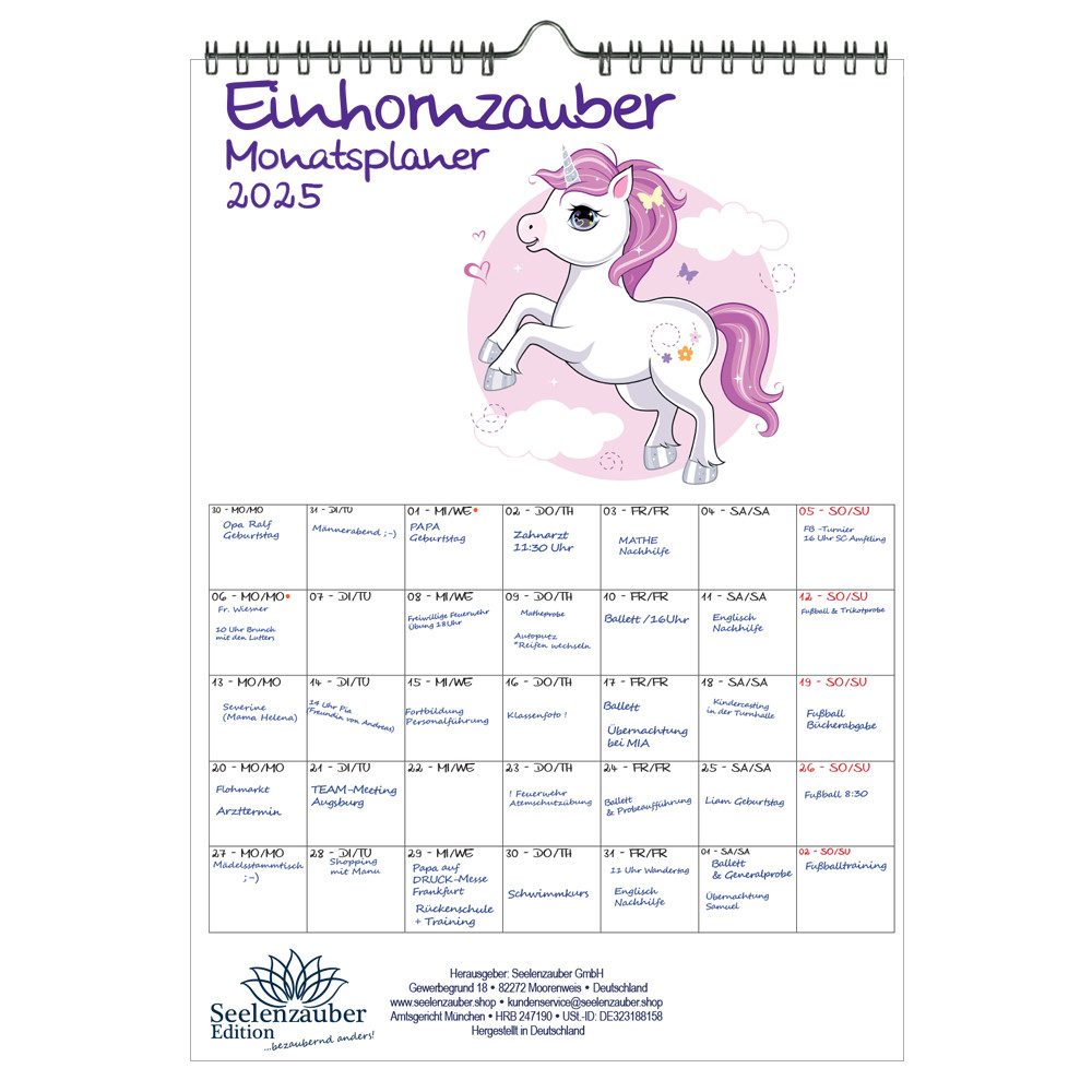 Seelenzauber Wandkalender Einhornzauber Wand- Planer Kalender 2025 DIN