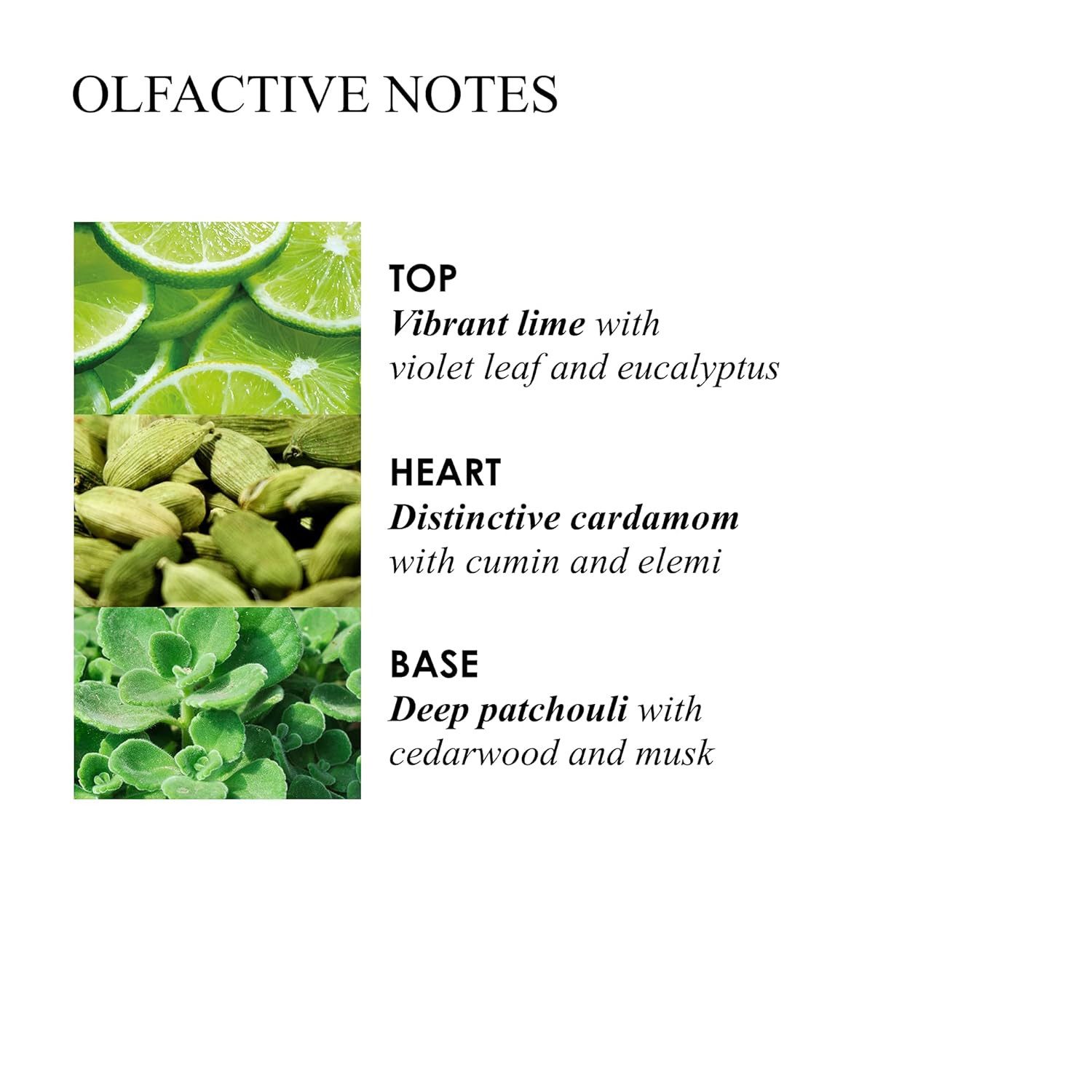 MOLTON BROWN Handseife Lime & Patchouli edle Handseife 300 ml, 1-tlg.