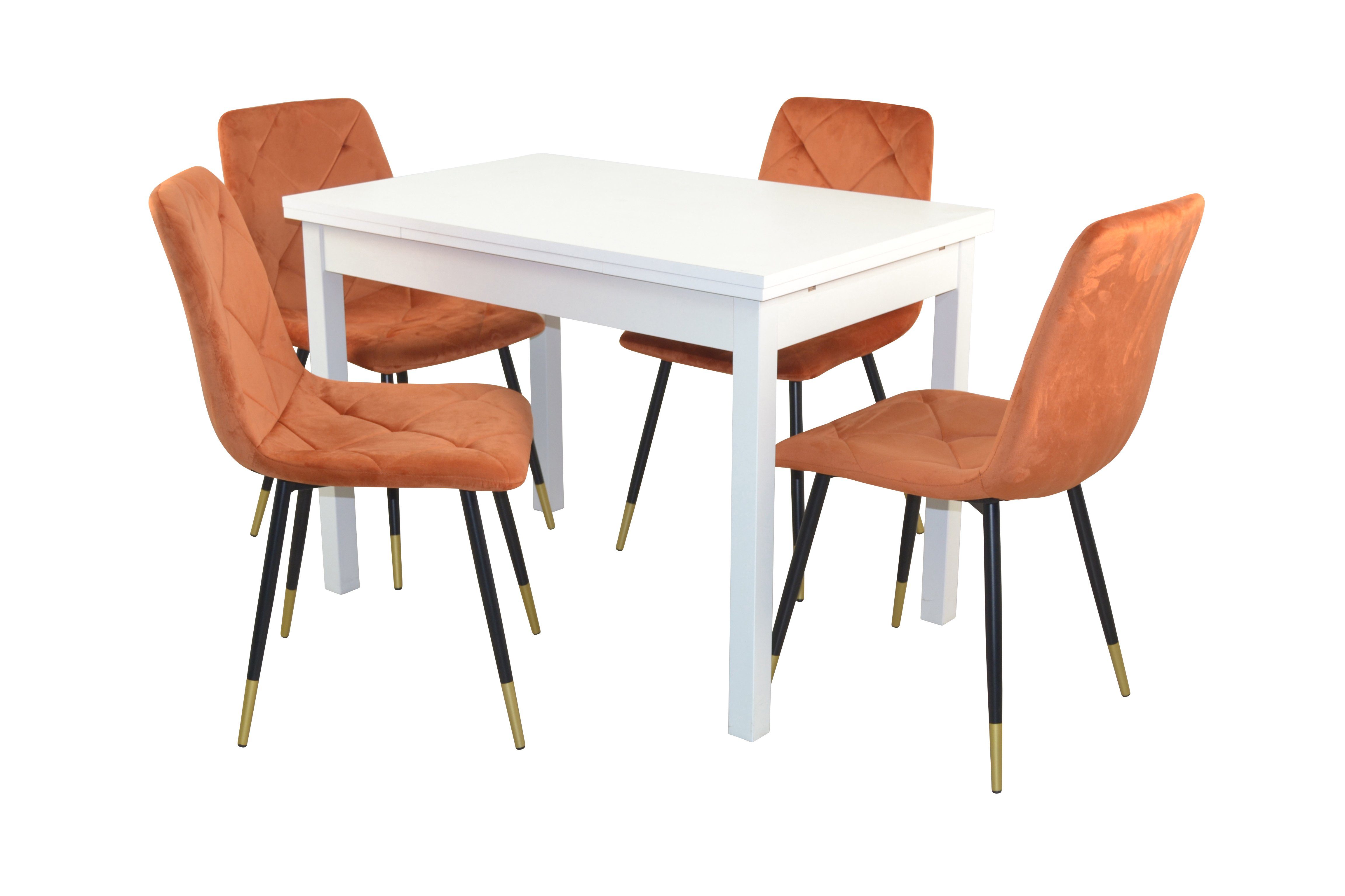 moebel-direkt-online Essgruppe 4 Tischgruppe und 5teilige aus Stühlen, Esstisch bestehend ausziehbar terra (Spar-Set, 5tlg. Set)