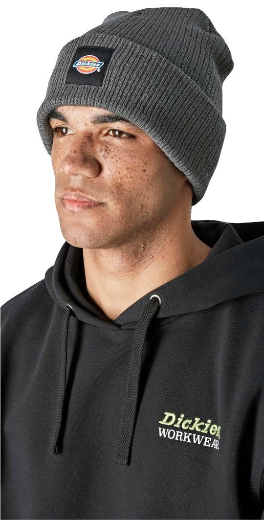 Dickies Beanie Evadale Gray