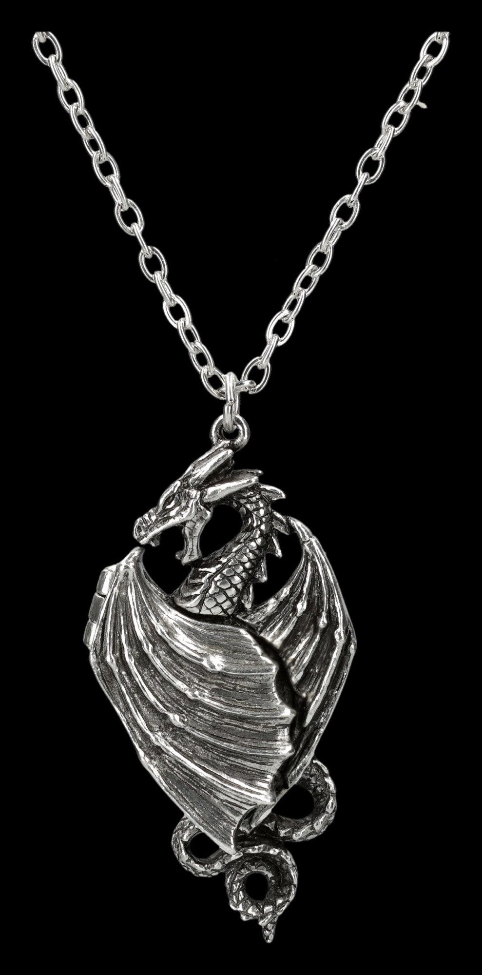 Kette mit Anhänger Drachen Halskette – Gothic Amulett Reliquiar Fantasy Schmuck 6.5 cm