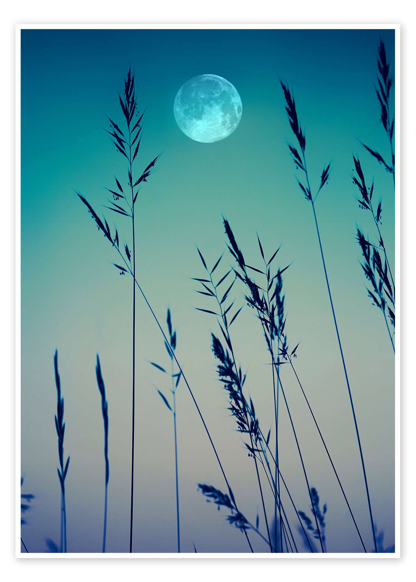Poster Editors Choice