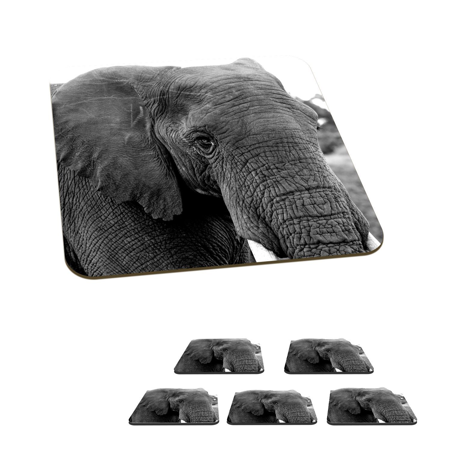 MuchoWow Glasuntersetzer Elefant - Tiere - Schwarz - Weiß - Natur, Zubehör für Gläser, 6-tlg., Glasuntersetzer, Tischuntersetzer, Korkuntersetzer, Untersetzer, Tasse