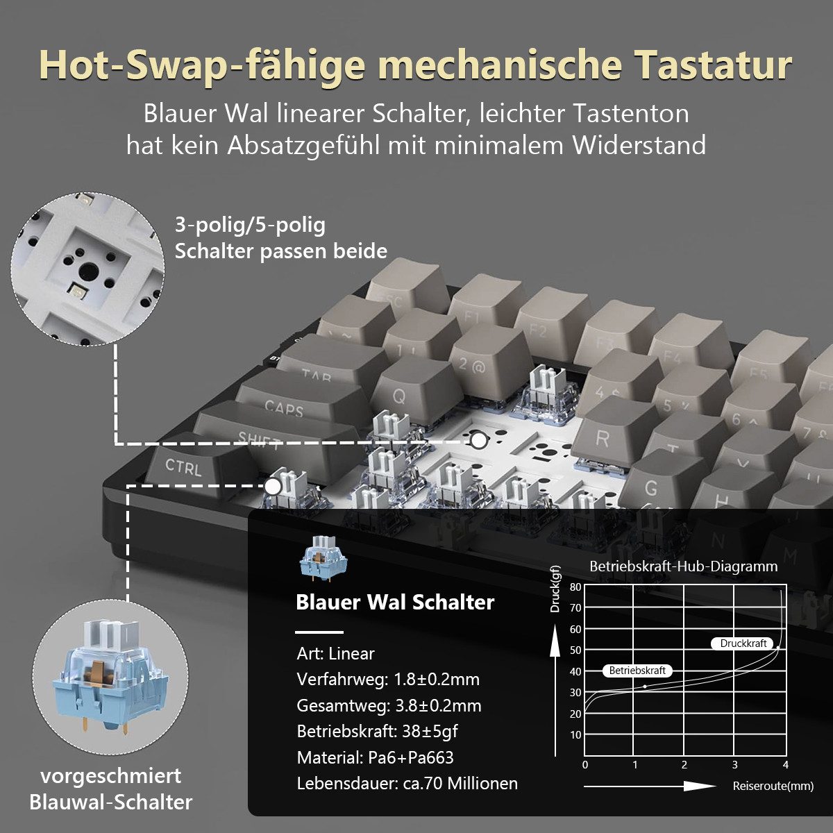 Novzep Gaming Tastatur Kabellose Mechanische Keyboard RGB Rainbow Tri-Modus Gaming-Tastatur (Kompakt 87 Tasten für Mac&Win,5 schallabsorbierende Schichten,PC)