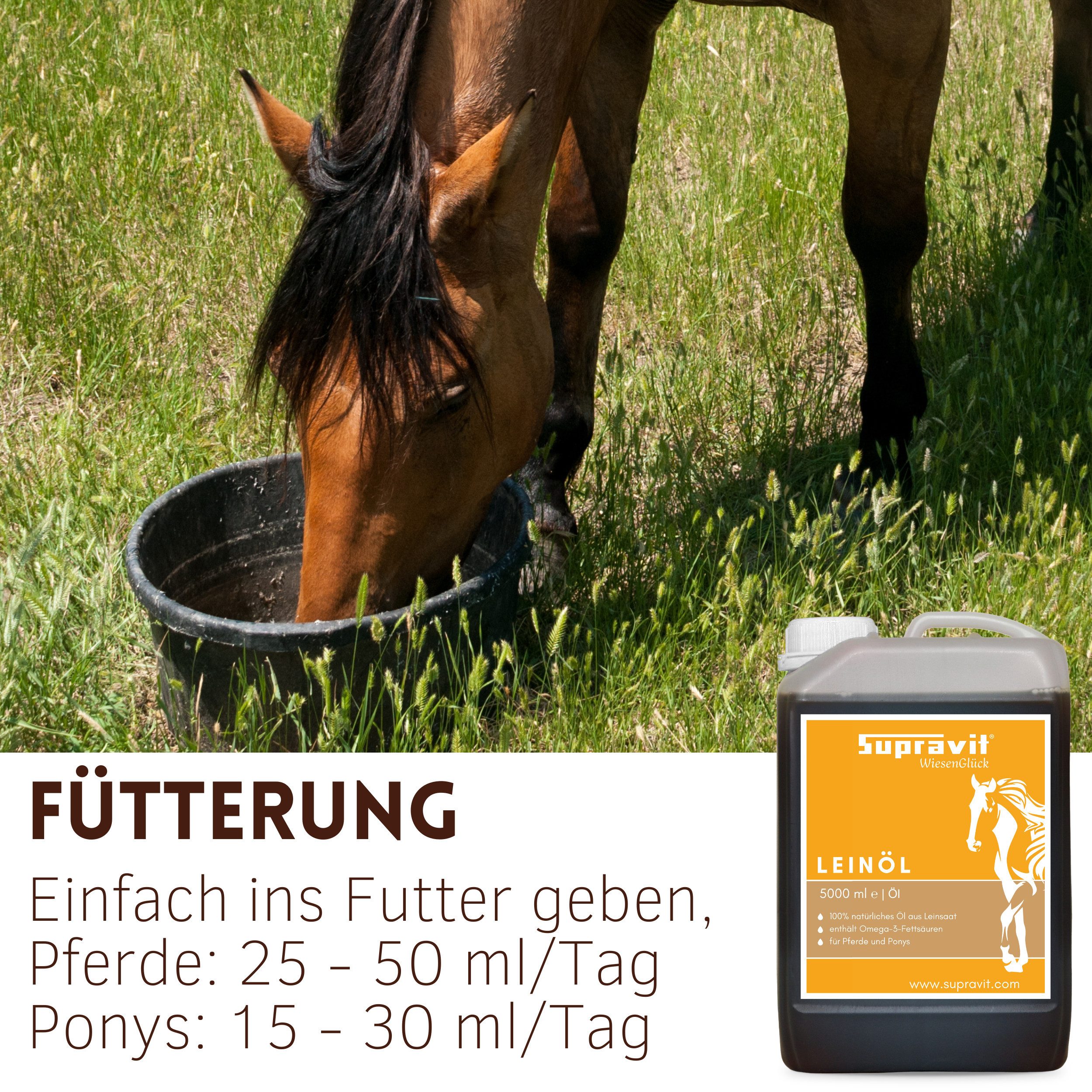 Supravit Leinöl Liquid für Pferde 5 Liter - 100% natürliche Unterstützung, Nahrungsergänzungsmittel für: Pferd