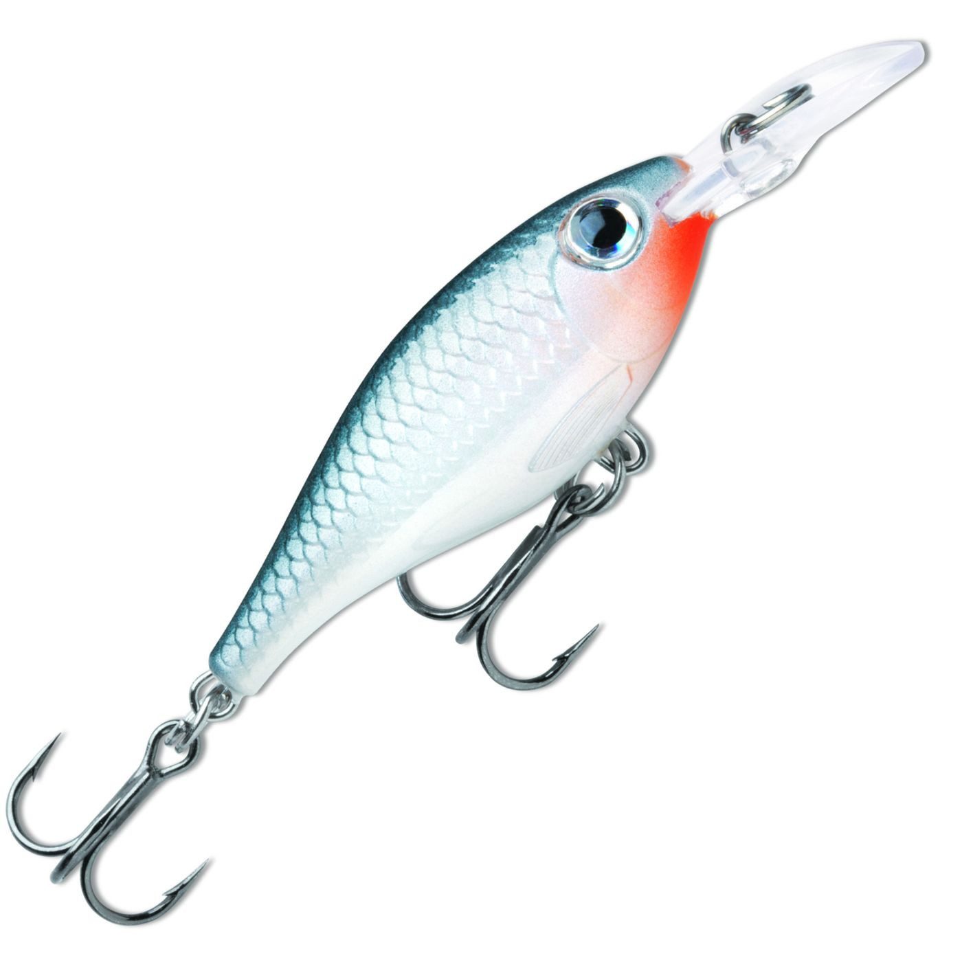 Shad
