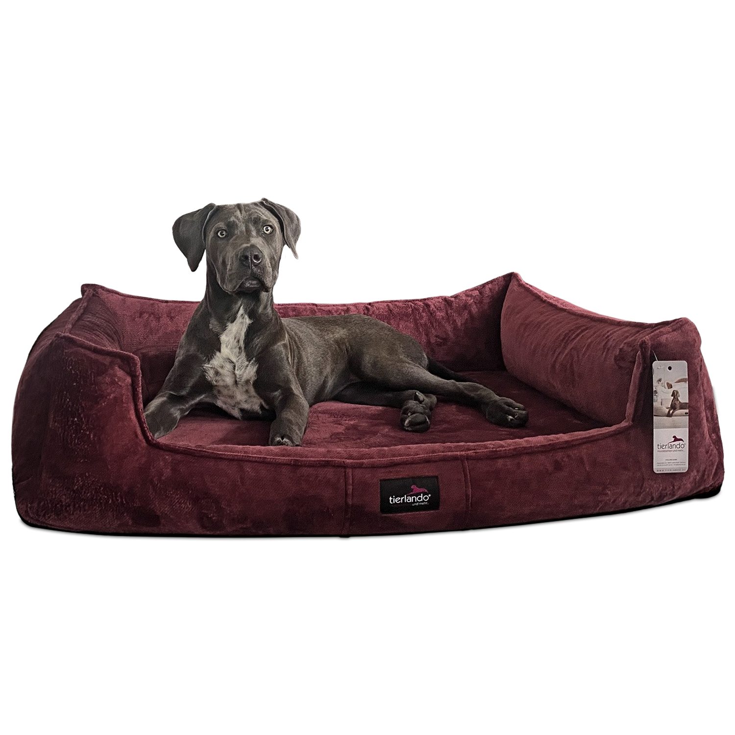 tierlando® Tierbett Orthopädisches Hundebett FRANKLIN Kuscheliger günstig online kaufen