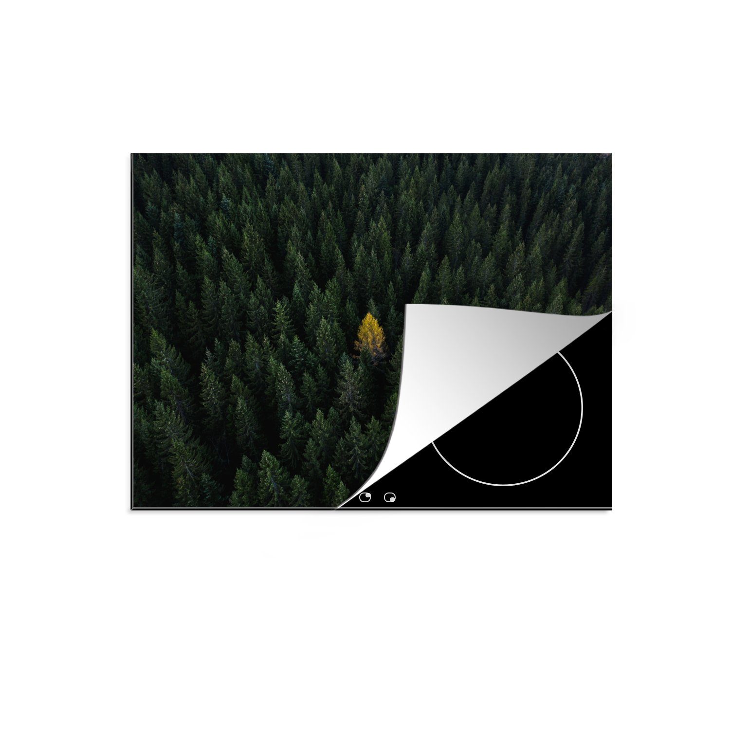 MuchoWow Herdblende-/Abdeckplatte Wald - Kiefer - Bäume - Herbst - Italien, Vinyl, (1 tlg), 70x52 cm, Mobile Arbeitsfläche nutzbar, Ceranfeldabdeckung