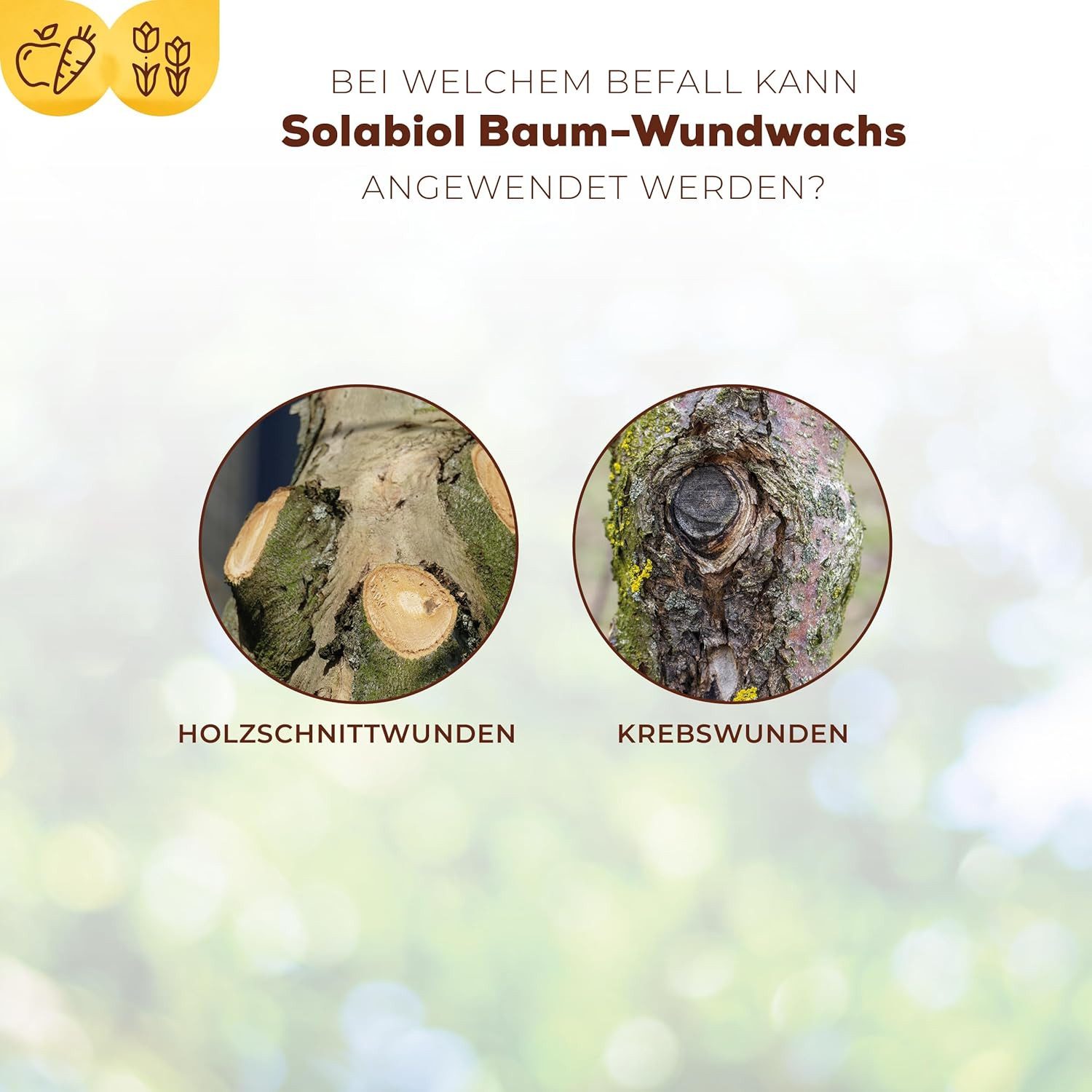 Solabiol Baum-Wundverschluss Solabiol Baum-Wundwachs 300 g – Bild 5 von 5