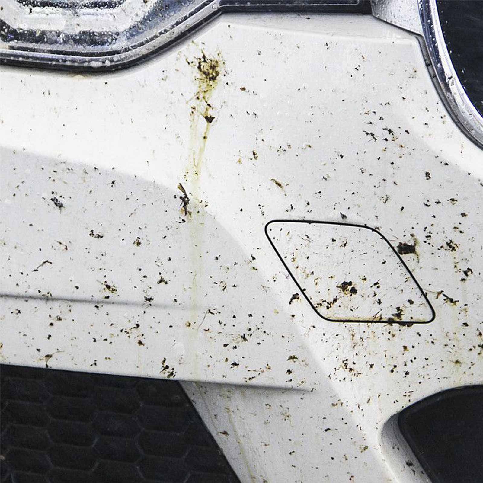 TECHNOLIT® Insektenentferner Konzentrat 1L Insektenreiniger Insektenlöser, Auto Insektenentferner
