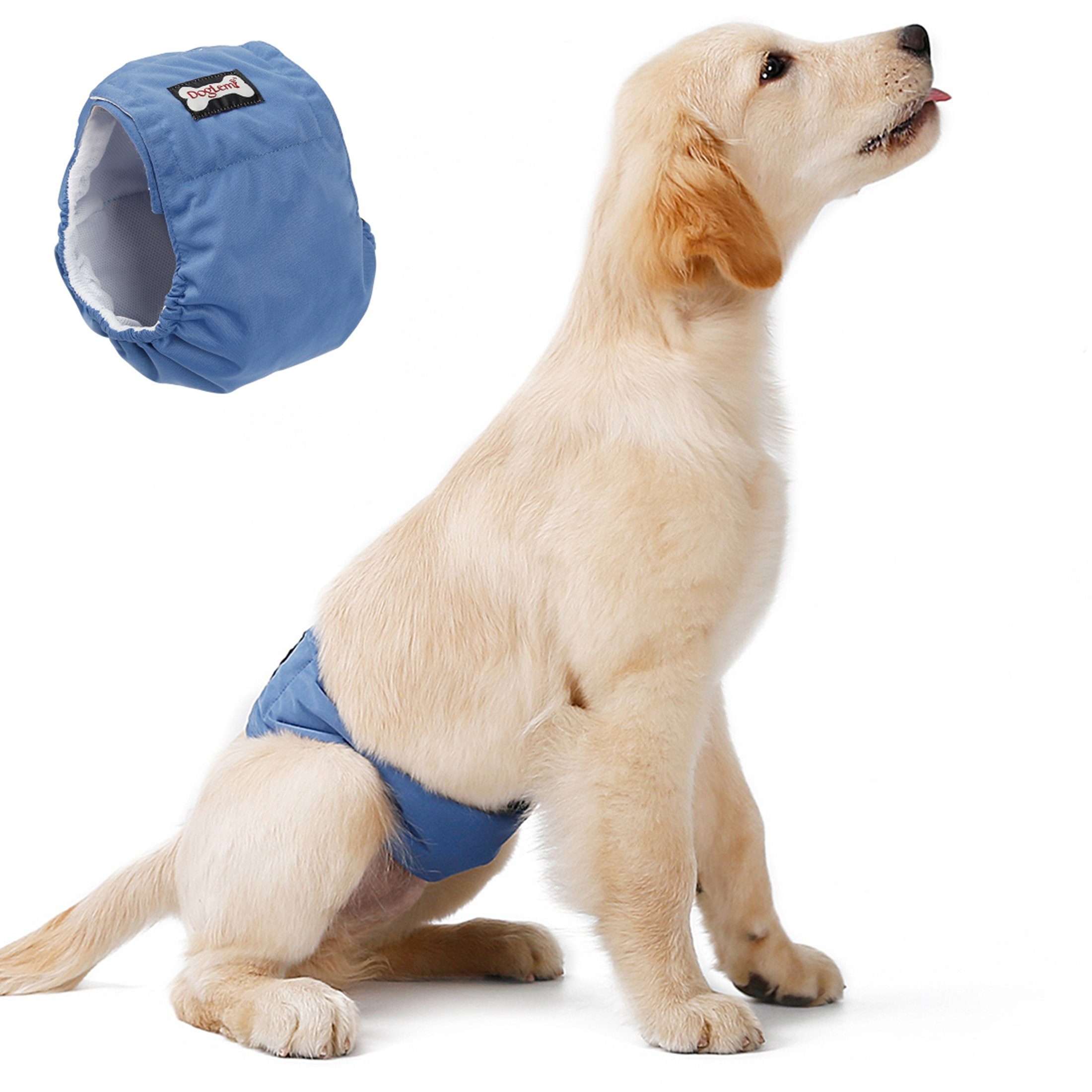 LAPA HOME Hundewindel Anti-Belästigung Hunde Hygienehose Atmungsaktiv Schutzhose für Rüde, Hunde Menstruationshose, Wiederverwendbar, Hochsaugfähige, S-2XL Blau
