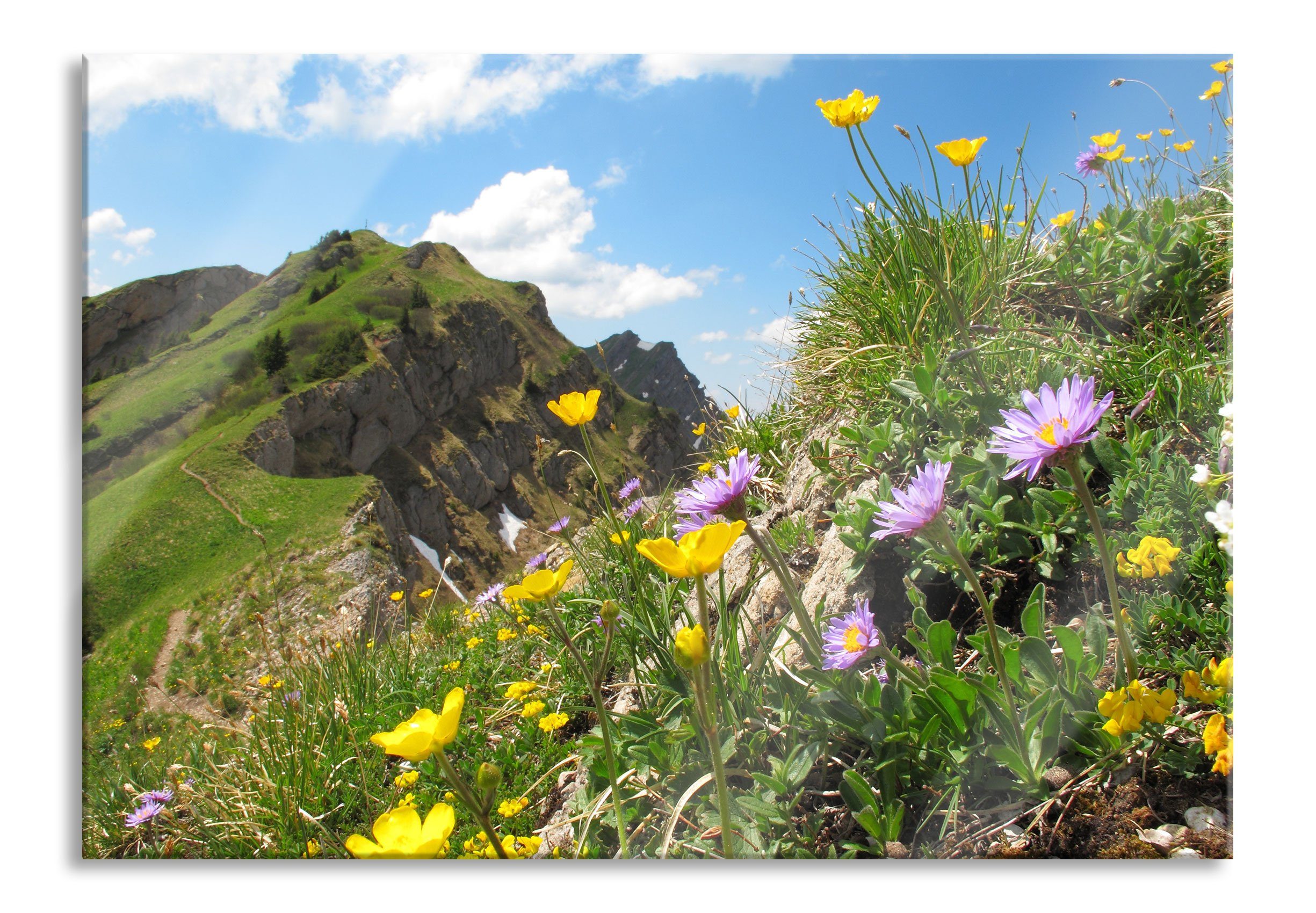 Pixxprint Glasbild Blumenwiese im Frühling, Blumenwiese im Frühling (1 St), Glasbild aus Echtglas, inkl. Aufhängungen und Abstandshalter