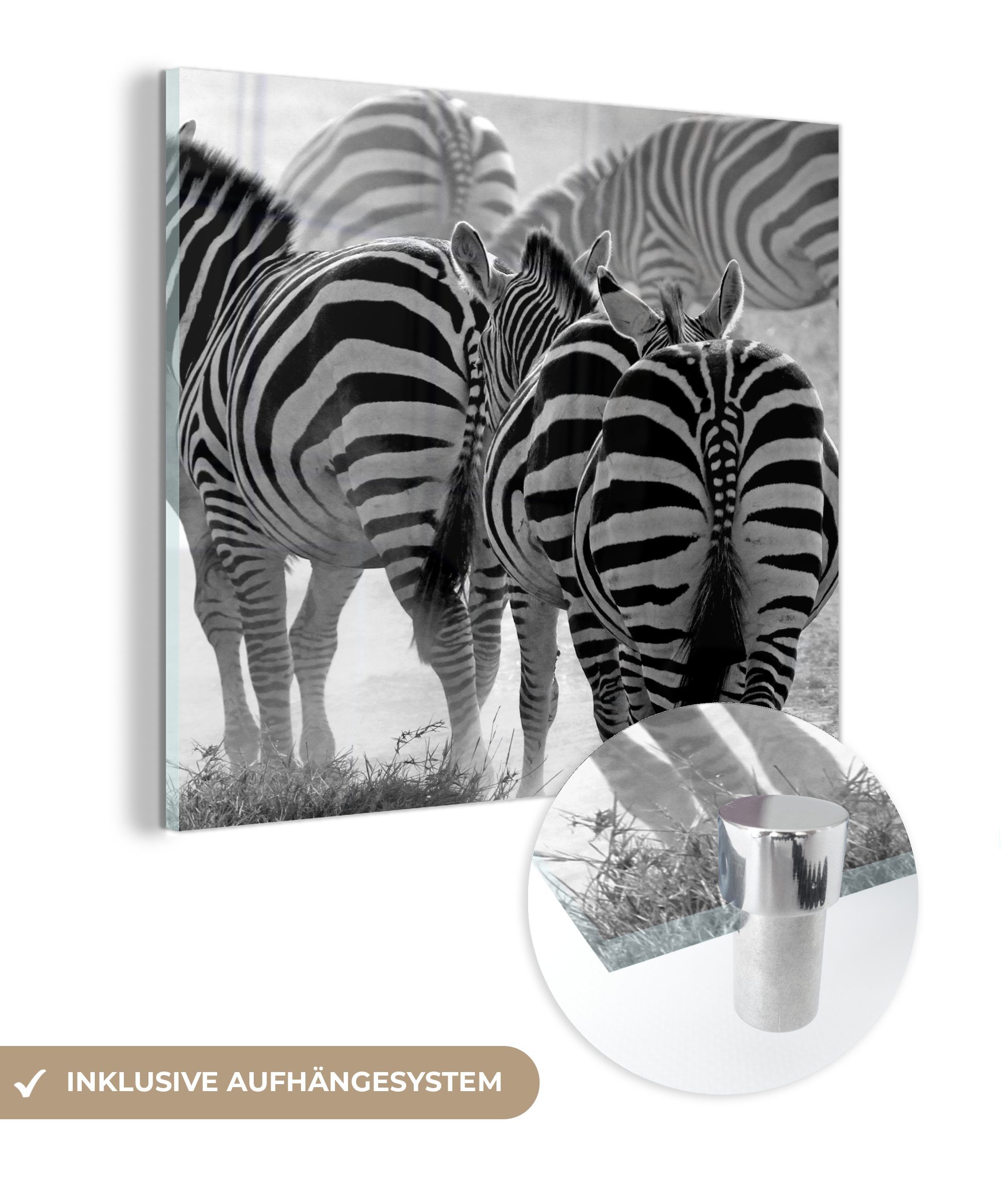 MuchoWow Acrylglasbild Laufende Zebras, (1 St), Glasbilder - Bilder auf Glas Wandbild - Foto auf Glas - Wanddekoration