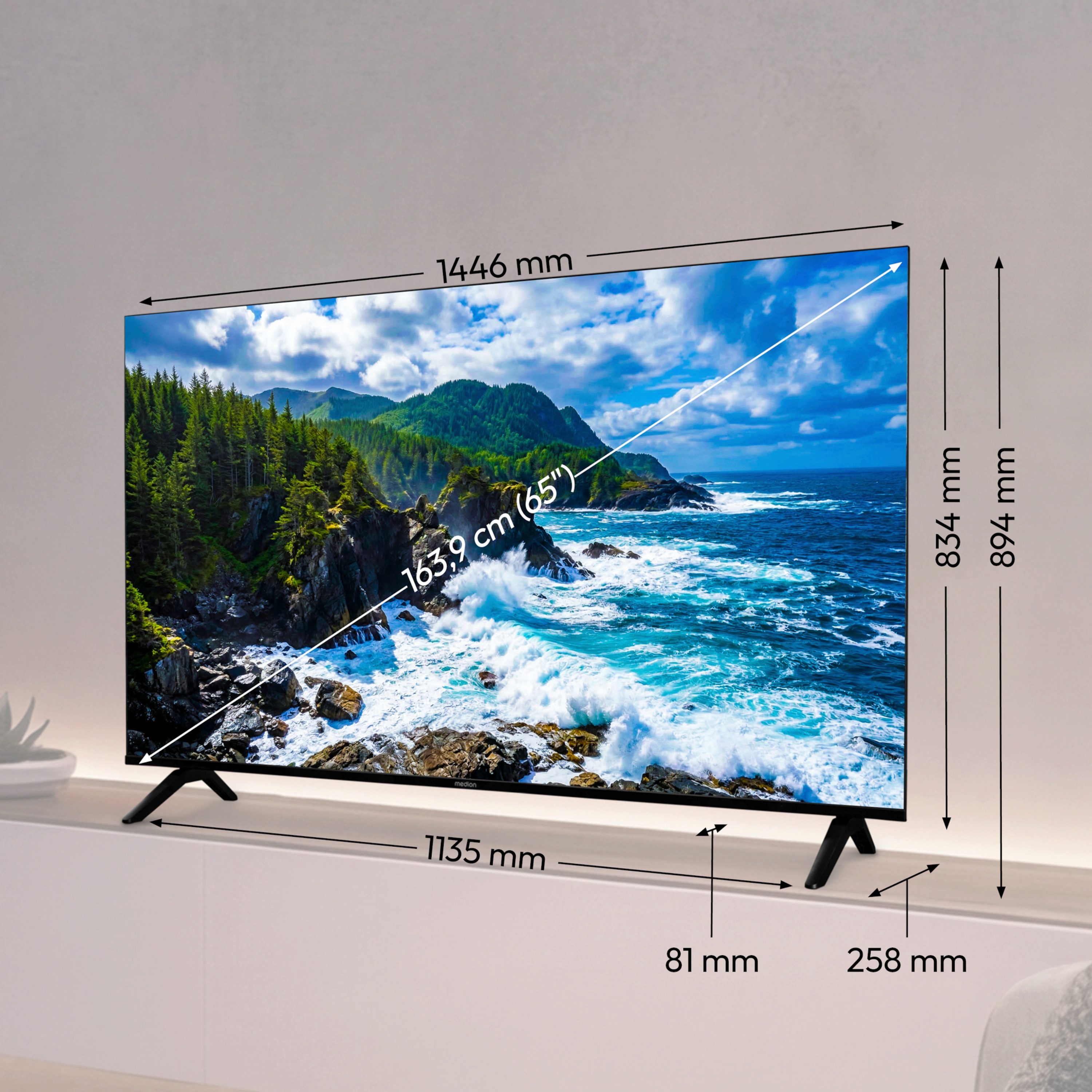 Medion® MD865201 LCD-LED Fernseher (163.9 cm/65 Zoll, 4K Ultra HD, Smart-TV, Netflix, HBO Max, Prime Video, Disney+, Magenta TV, AppleTV, WOW)