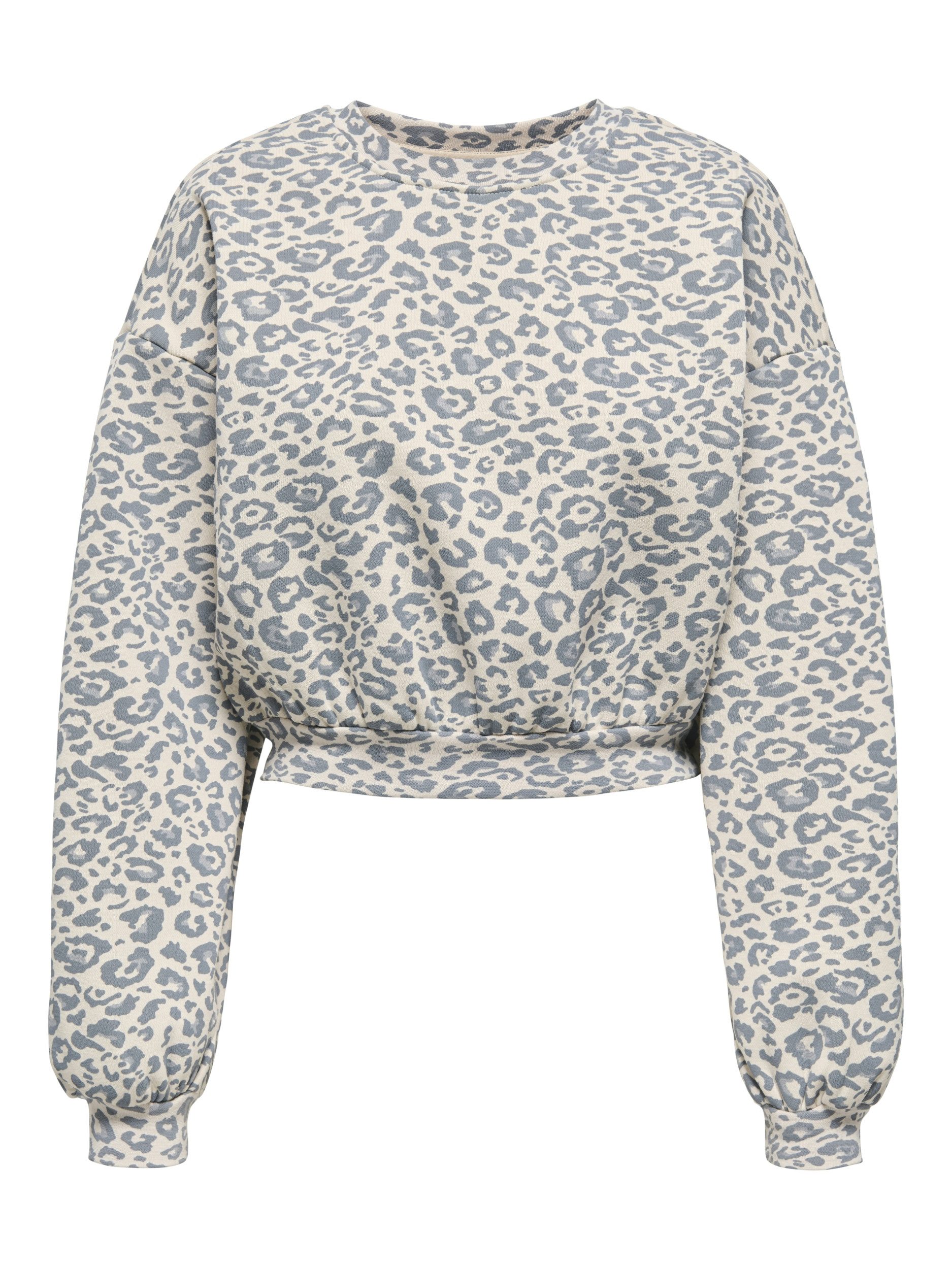 ONLY Sweater ONLVICTORY L/S O-NECK BOX CC SWT