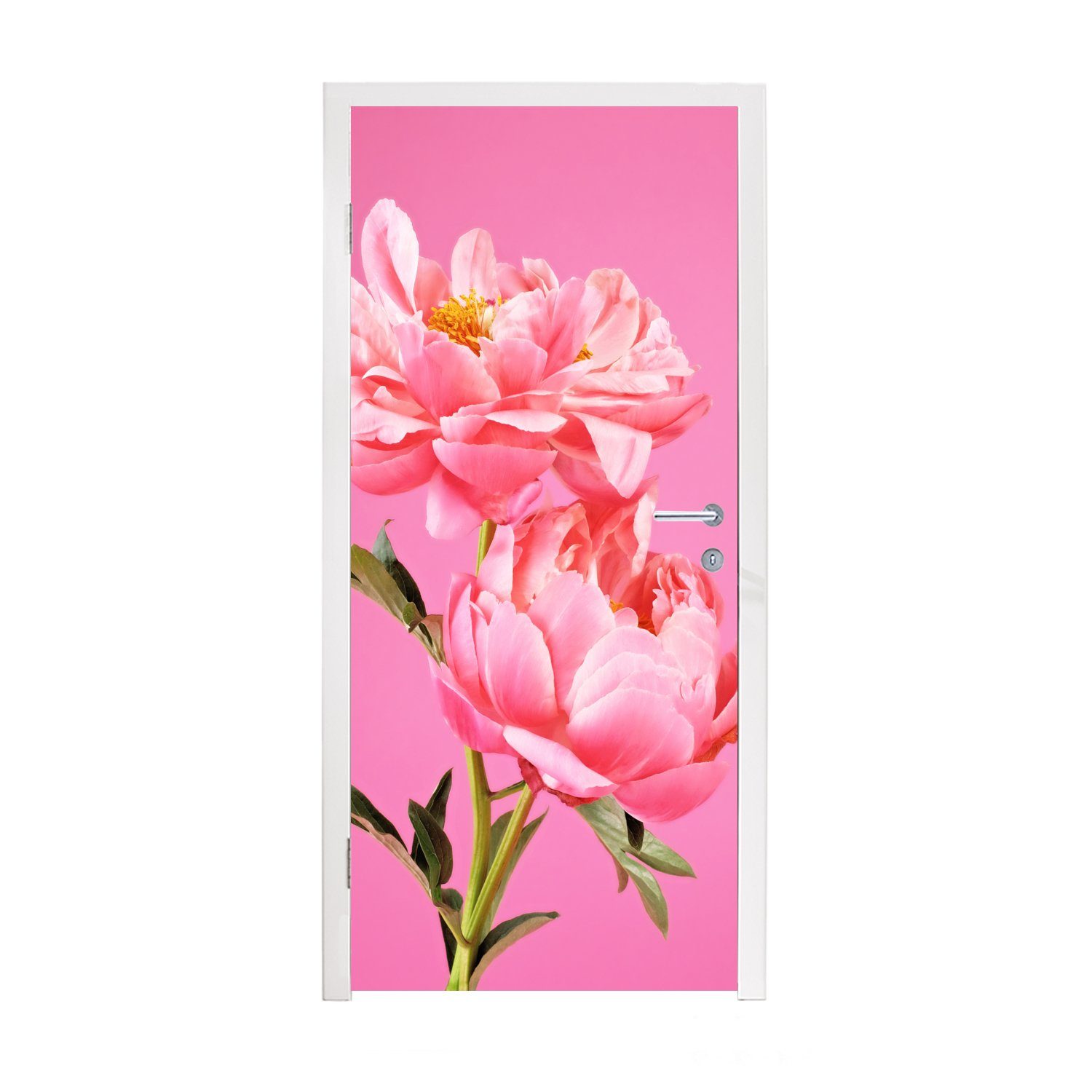 MuchoWow Türtapete Rosa Pfingstrosen mit rosa Hintergrund, Matt, bedruckt, (1 St), Fototapete für Tür, Türaufkleber, 75x205 cm