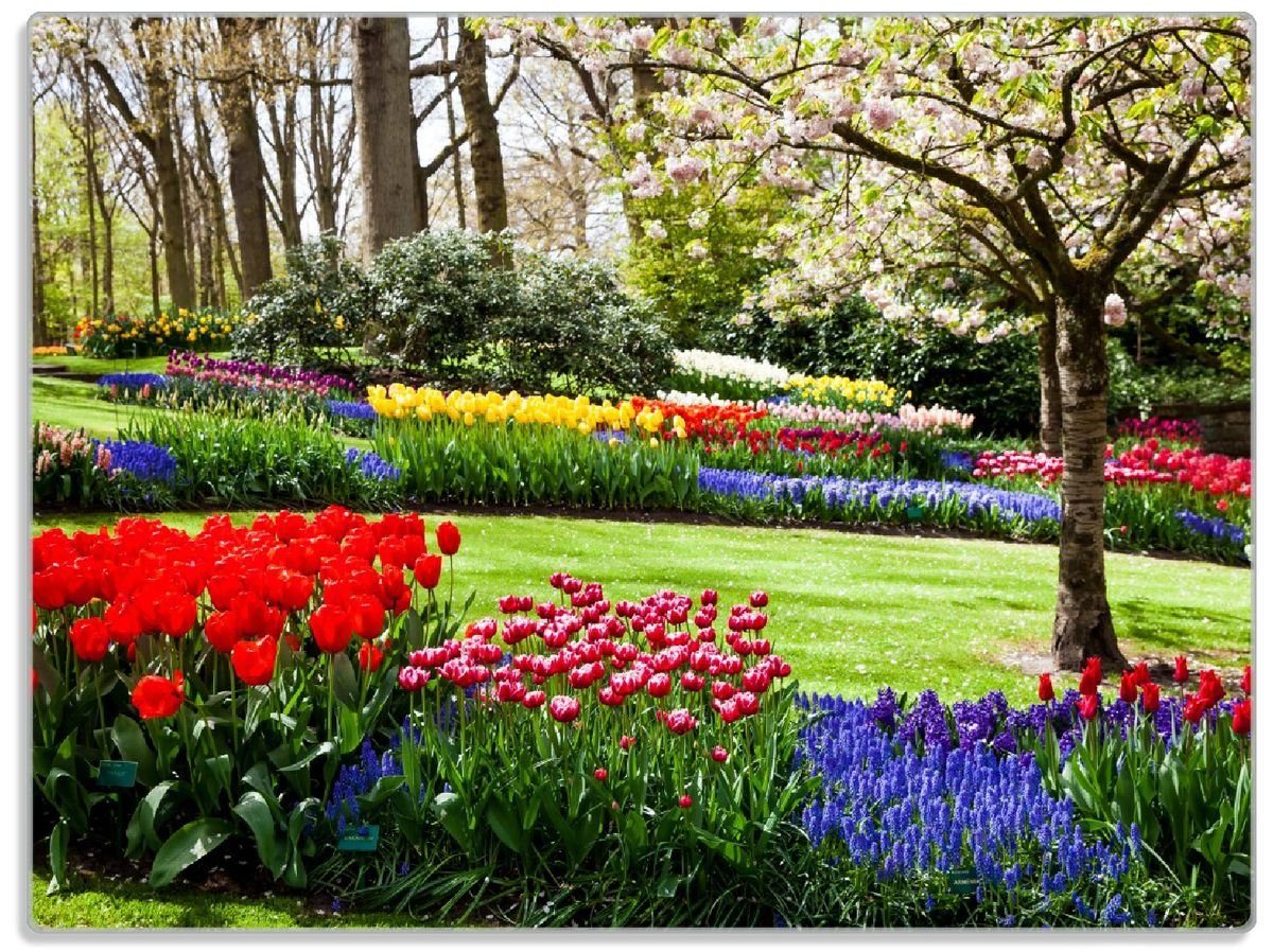 Wallario Schneidebrett Bunte Blumen und Kirsch-Baum im Park blühen im Frühling, ESG-Sicherheitsglas, (inkl. rutschfester Gummifüße 4mm, 1-St), 30x40cm