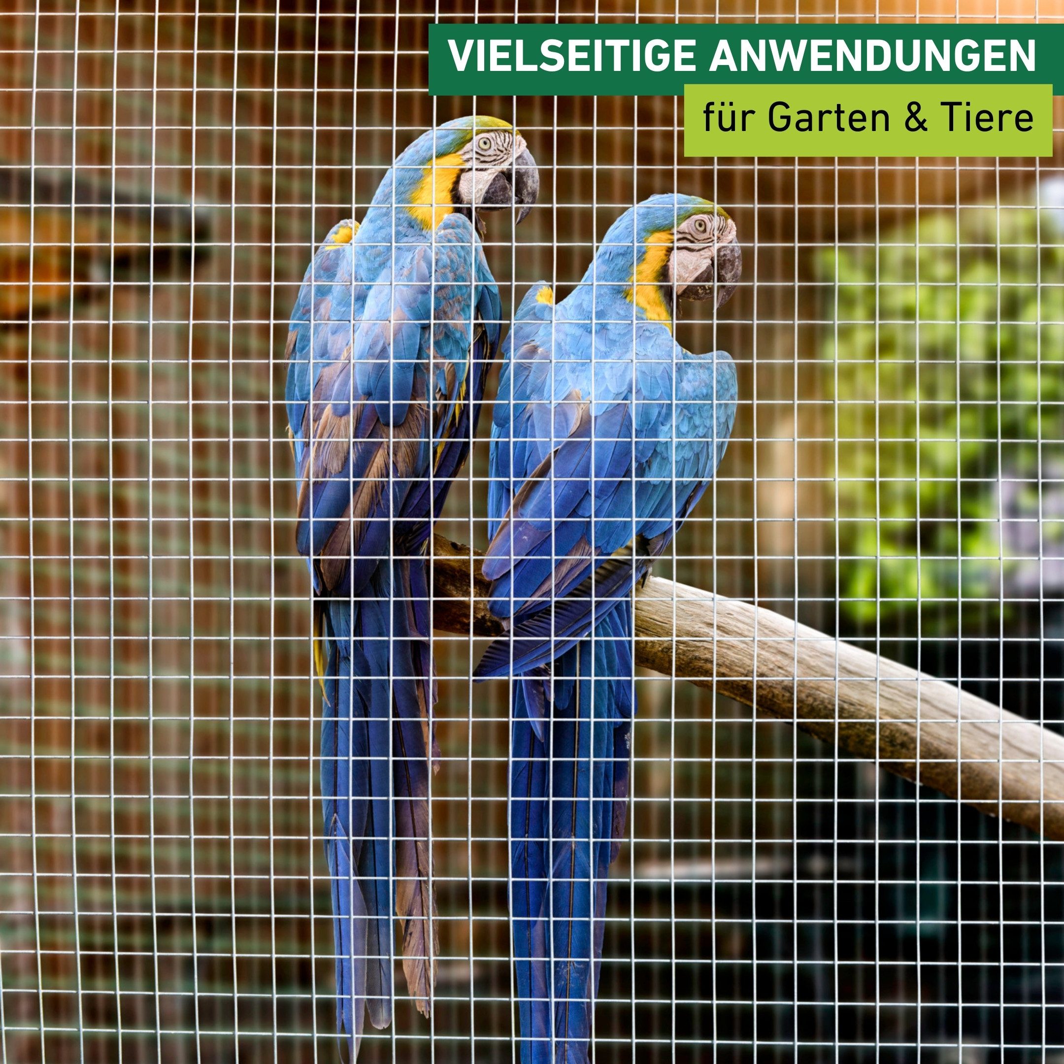 Windhager Voliere für Tiere und Garten, Drahgitter verzinkt für den Außenbereich, Stahlgitter erhältlich in unterschiedlichen Größen