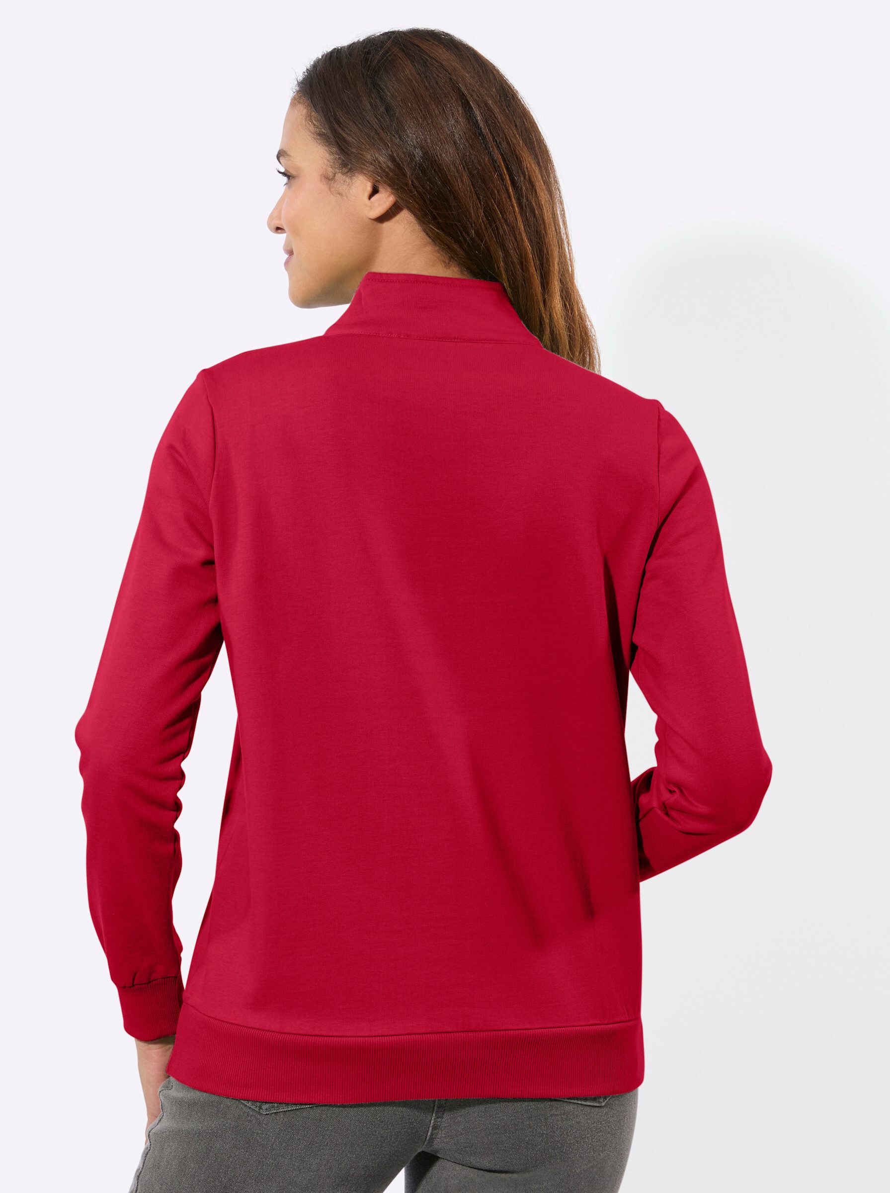Witt Sweater Sweatshirt Langarm