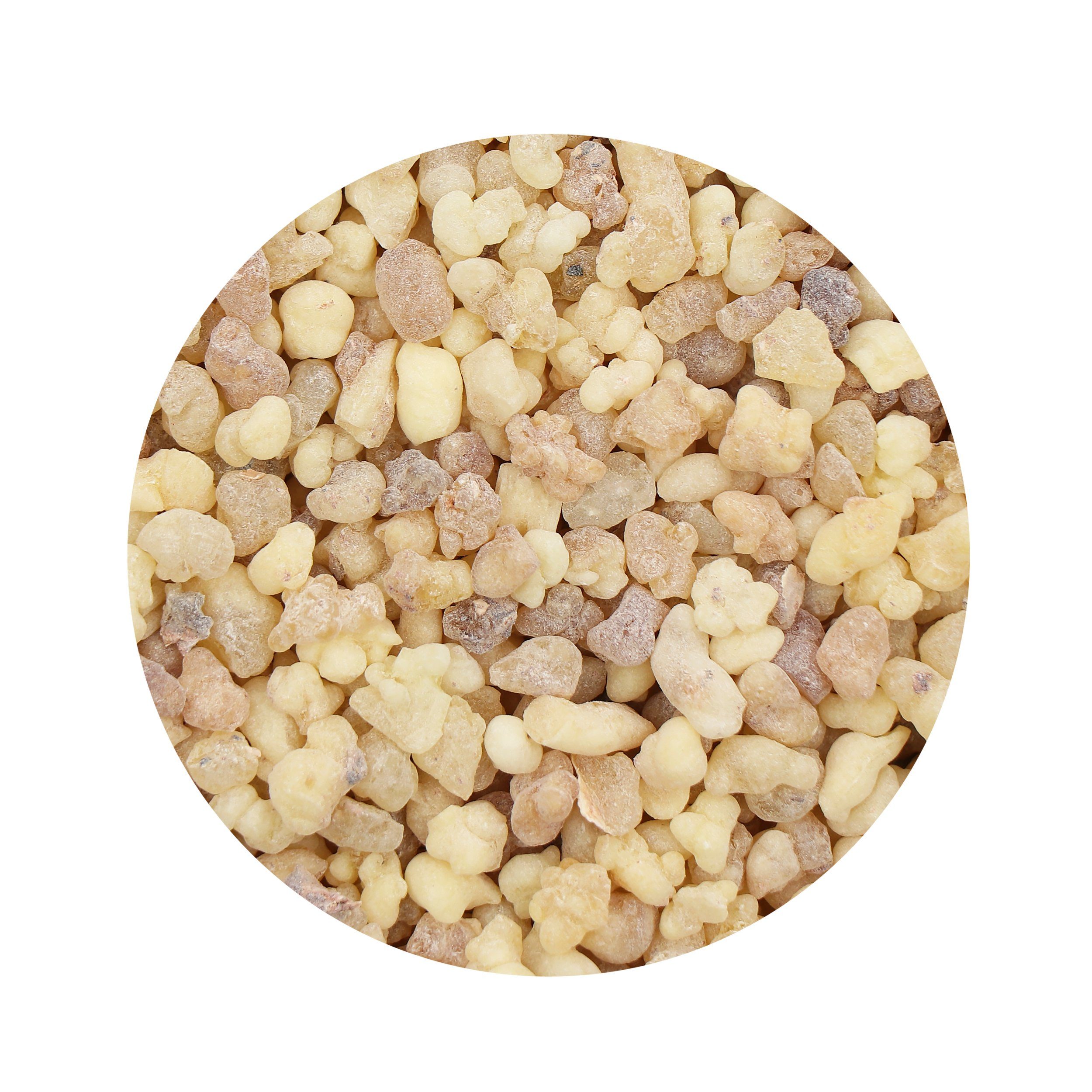 NKlaus Räucherschale Eritrea 100g Olibanum Weihrauch günstig online kaufen