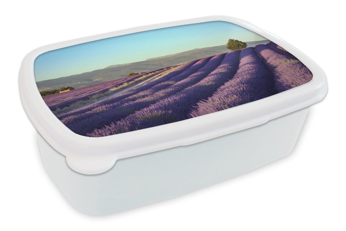 MuchoWow Lunchbox Blühende Lavendelfelder auf der Hochebene von Valensole in, Kunststoff, (2-tlg), Brotbox für Kinder und Erwachsene, Brotdose, für Jungs und Mädchen weiß