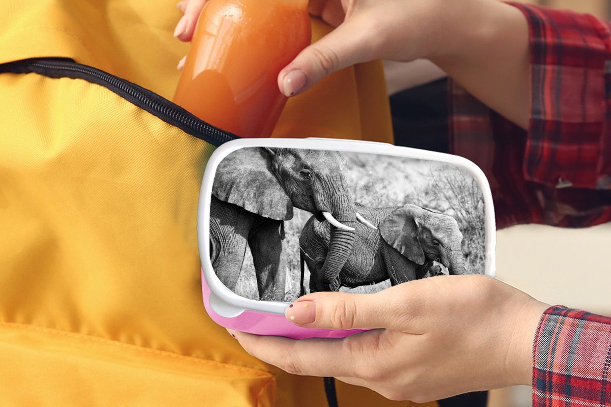 (2-tlg), - weiß, Mädchen, Kunststoff, Tiere rosa für Brotbox Gras und Schwarz Brotdose Lunchbox Snackbox, Kinder, MuchoWow - Kunststoff Elefant Erwachsene, -