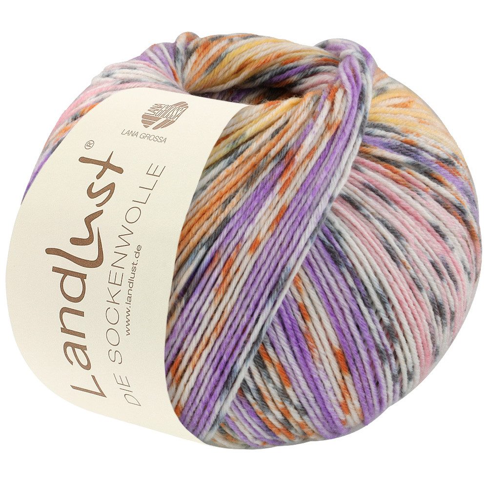 LANA GROSSA LANDLUST DIE SOCKENWOLLE 6-fach 150 g Häkelwolle, 390 m (Die Landlust Sockenwolle in der 6-fach Version), 150 g