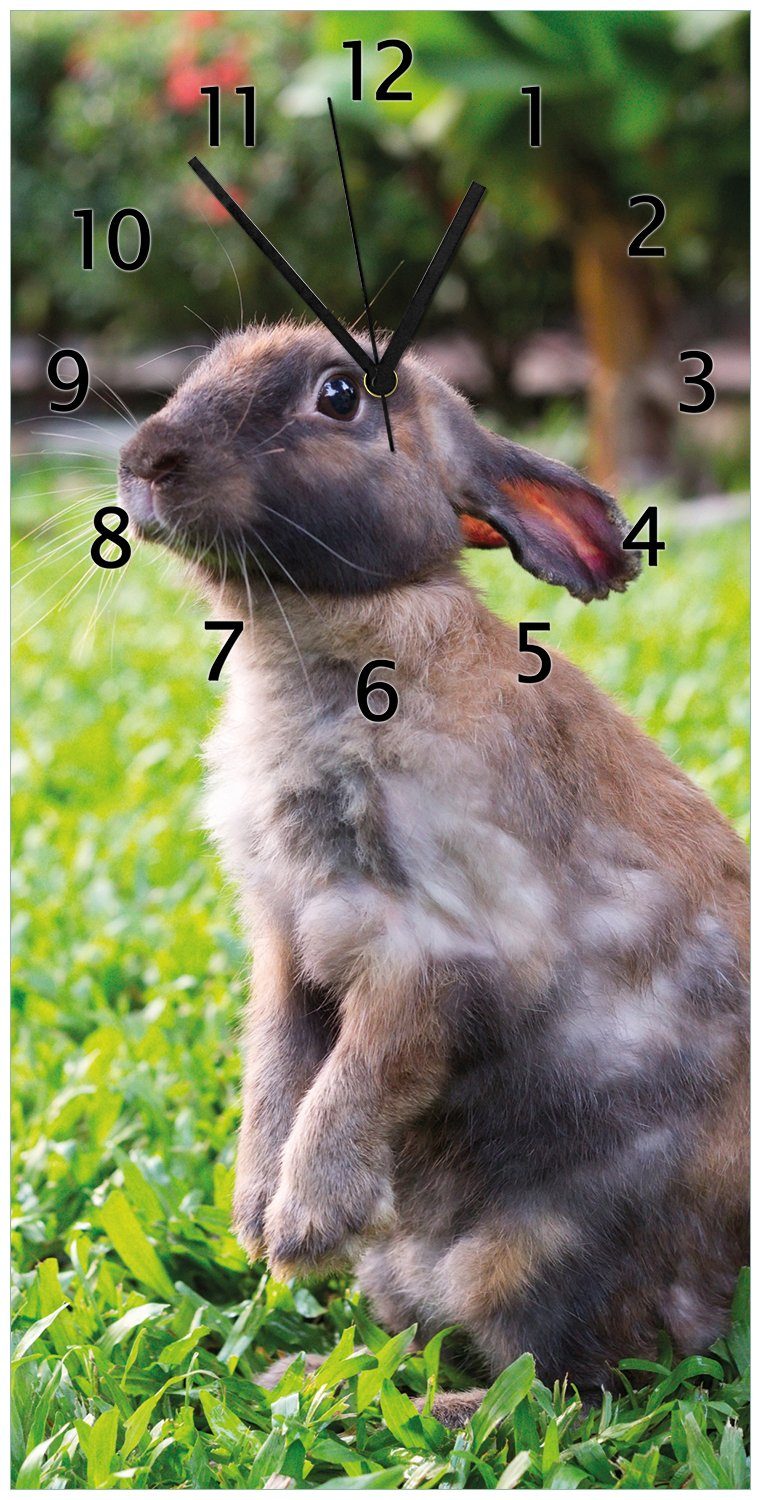 Wallario Wanduhr Kaninchen im Garten mit süßem Blick (Uhr aus Acryl)