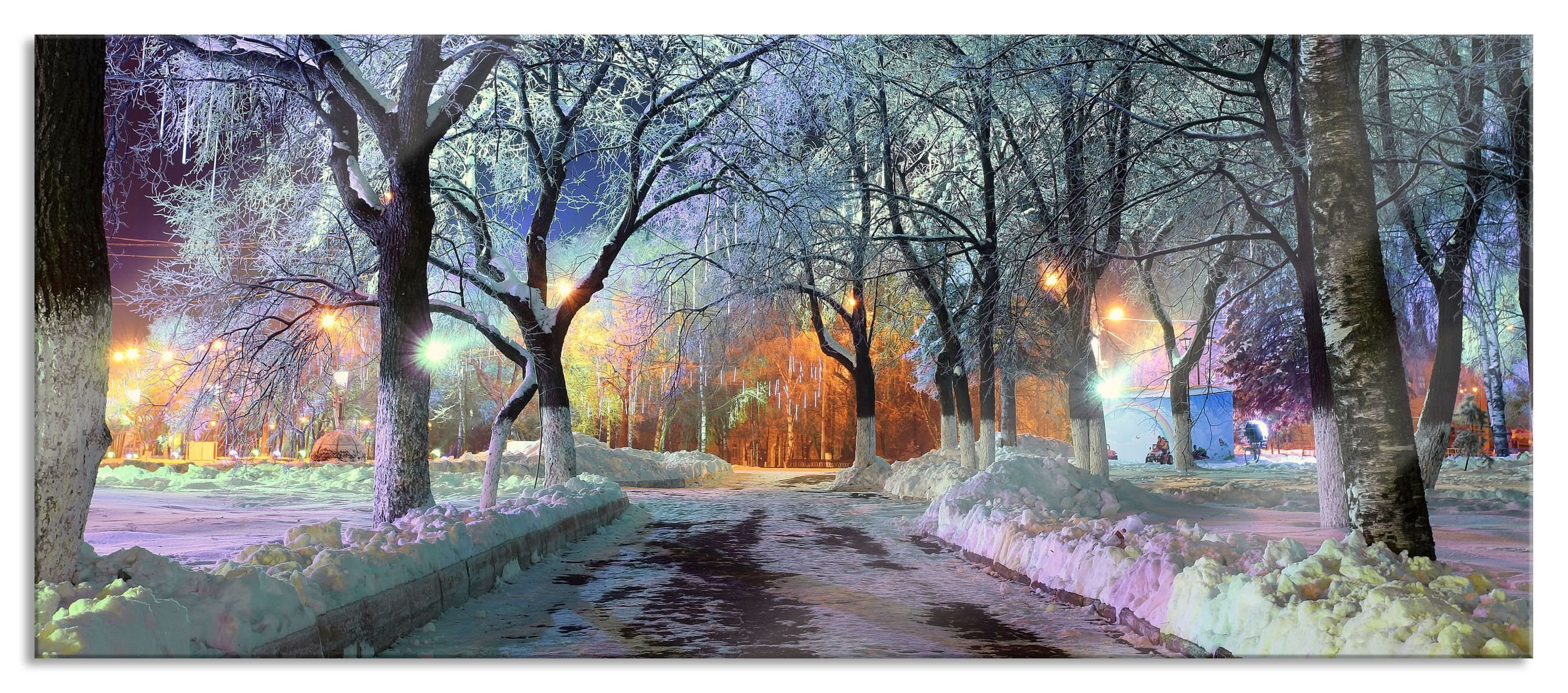 Glasbild Baumallee im Winter