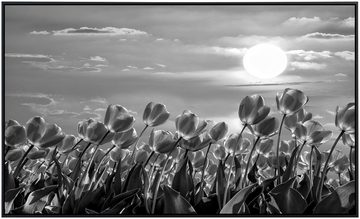 Papermoon Infrarotheizung Blumen Schwarz & Weiß, sehr angenehme Strahlungswärme