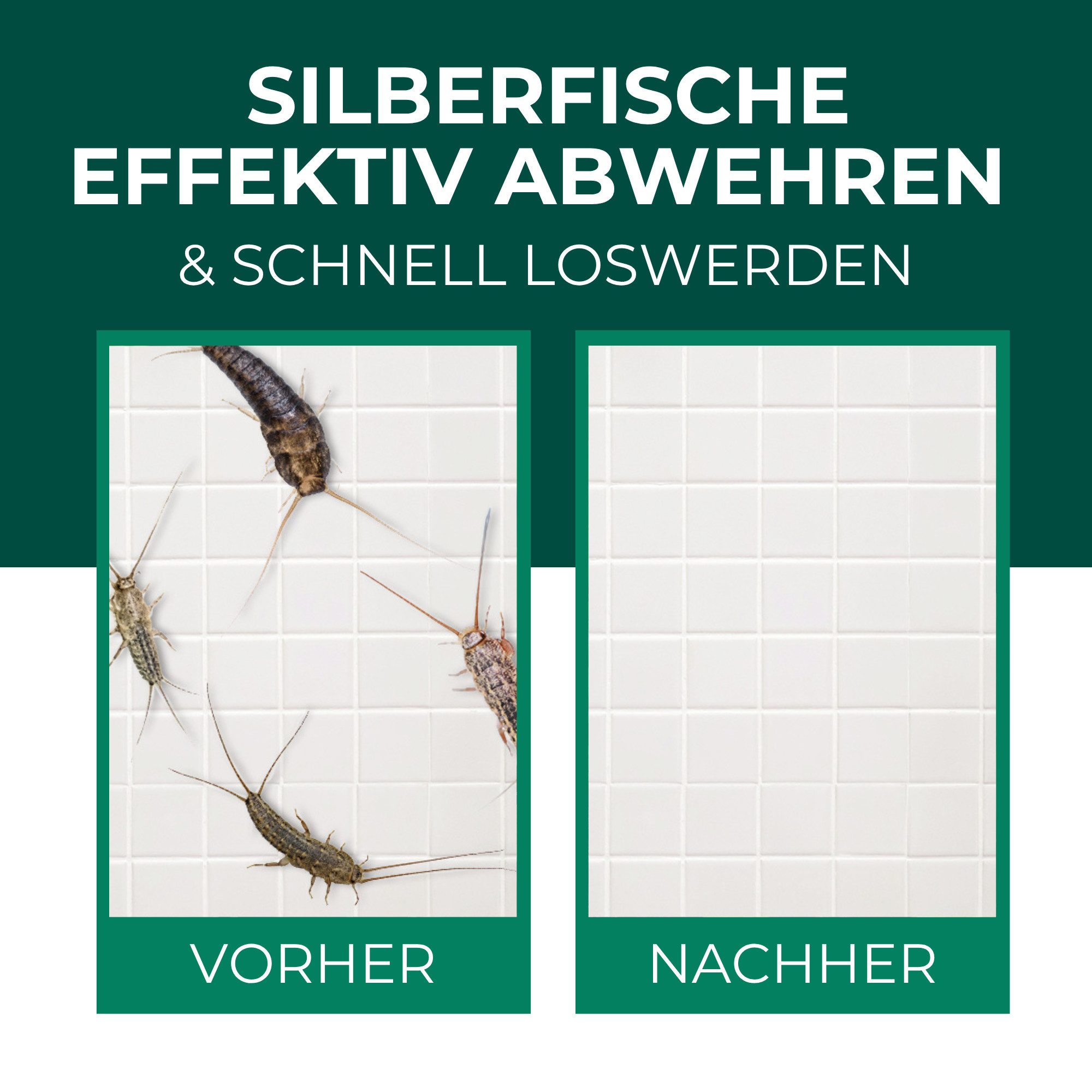 Silberkraft Insektenfalle Silberfischfalle – Effektive Lösung gegen Silberfische & Papierfische, Langzeitwirkung Ohne Giftstoff Effektive Prävention Einfache Anwendung